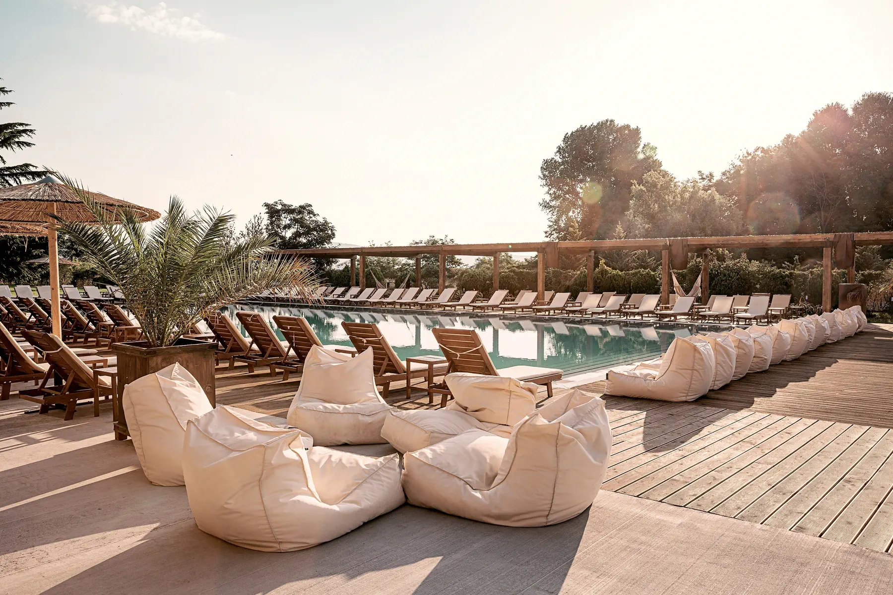Sunny Beach Club ( ex. Cook’s Club Sunny Beach) - zdjęcie 9