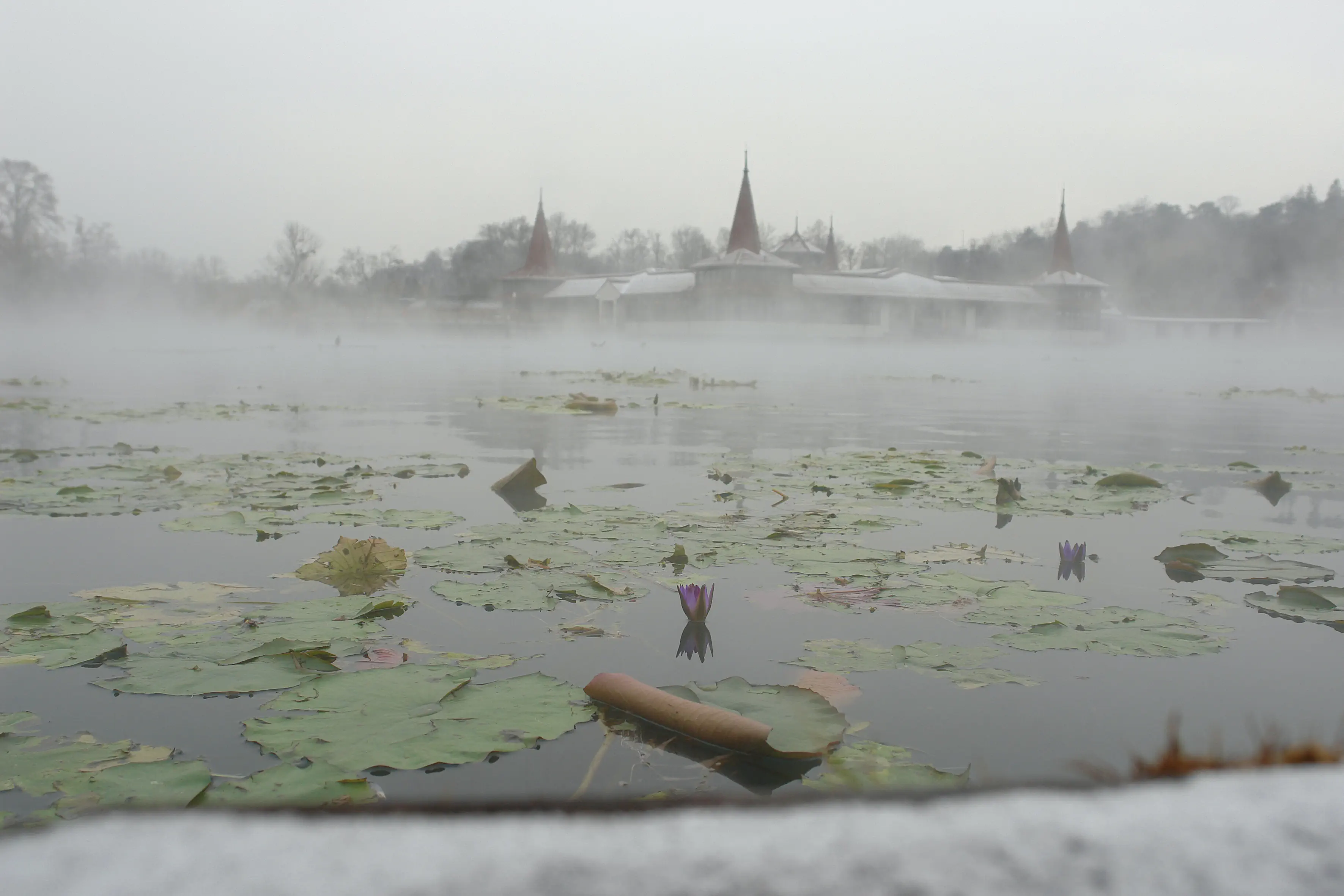 Ensana Thermal Heviz (ex. Danubius) - zdjęcie 5