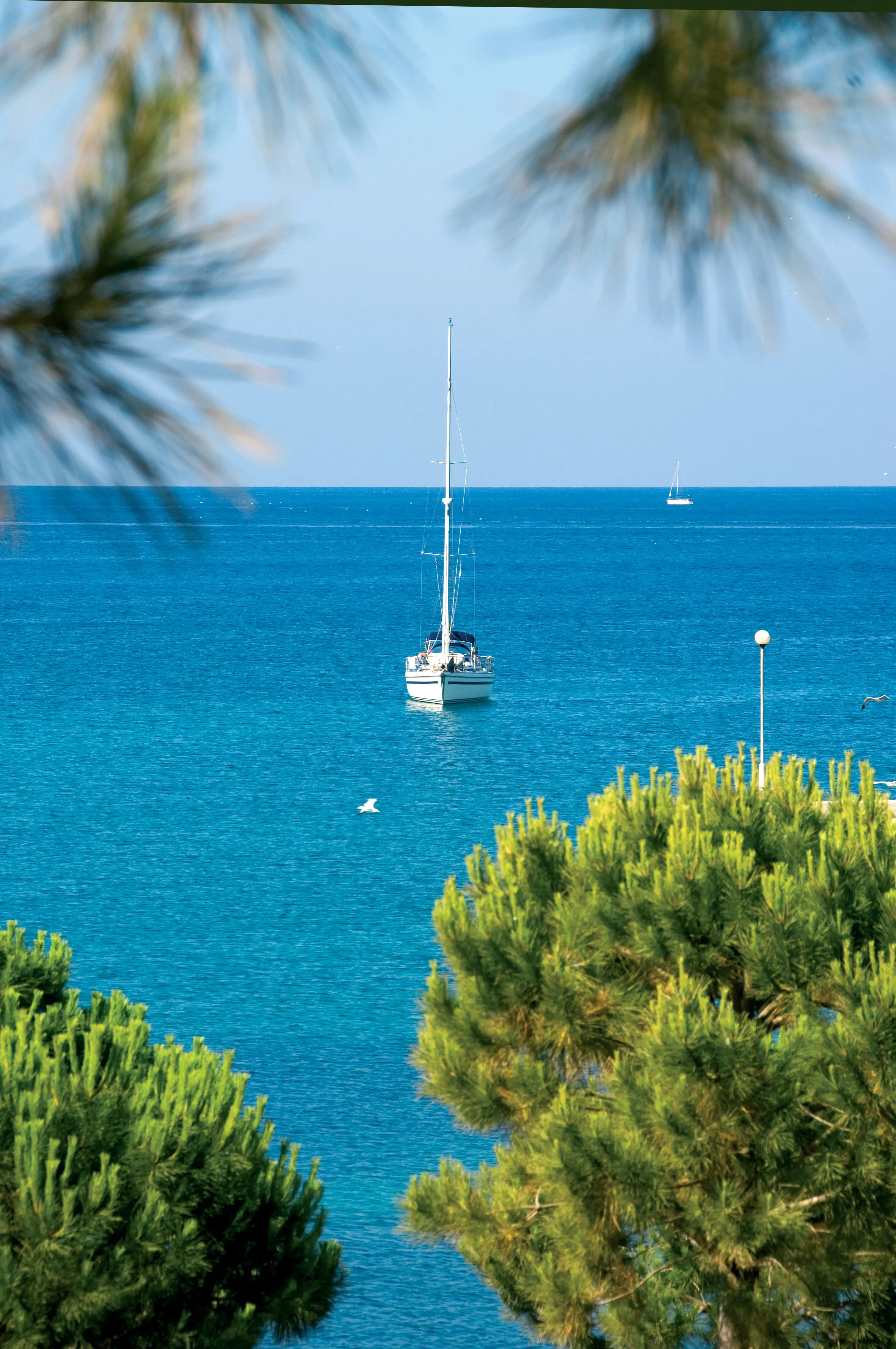 Island Istra (Rovinj) - zdjęcie 63