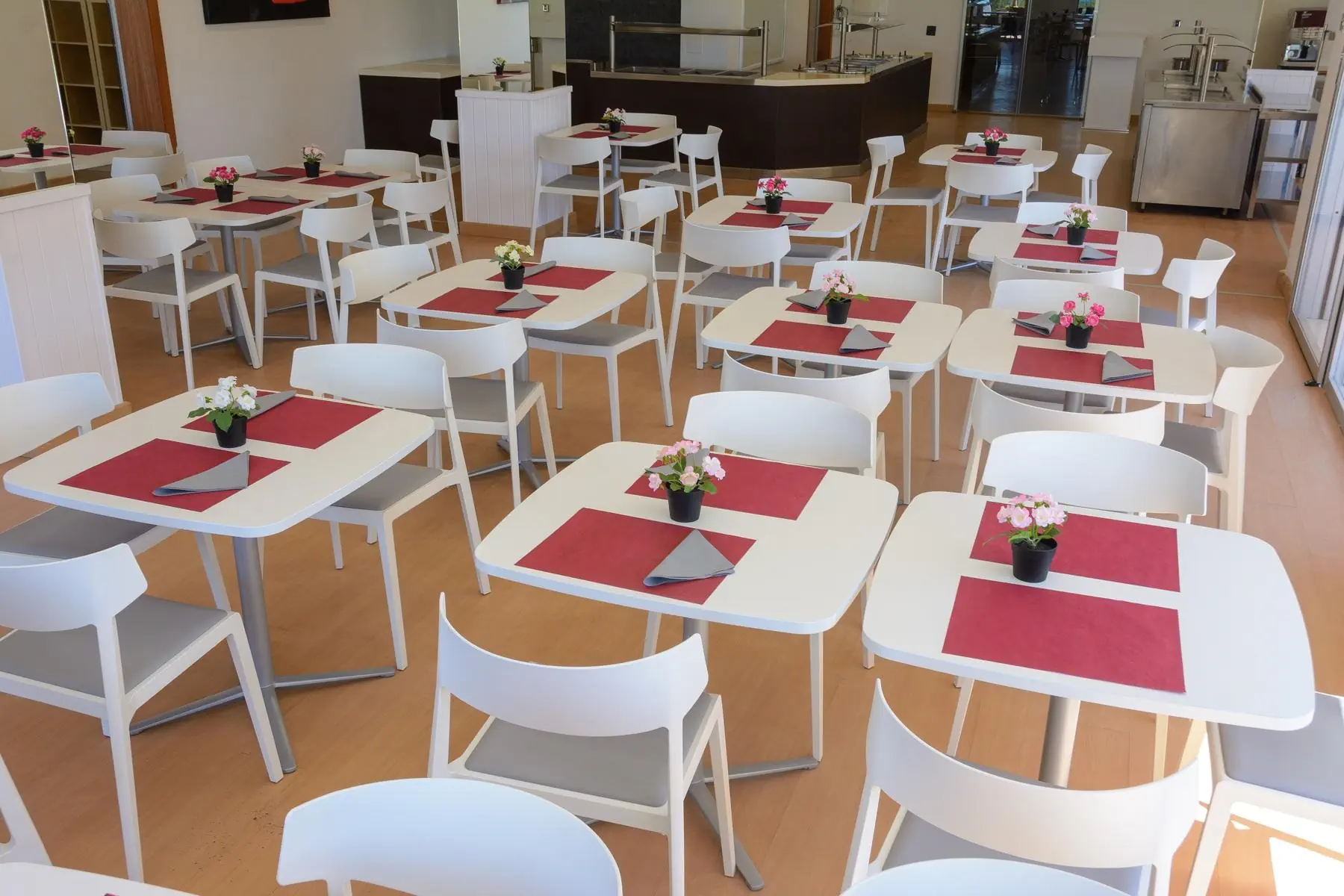 HOTEL Albatros Family