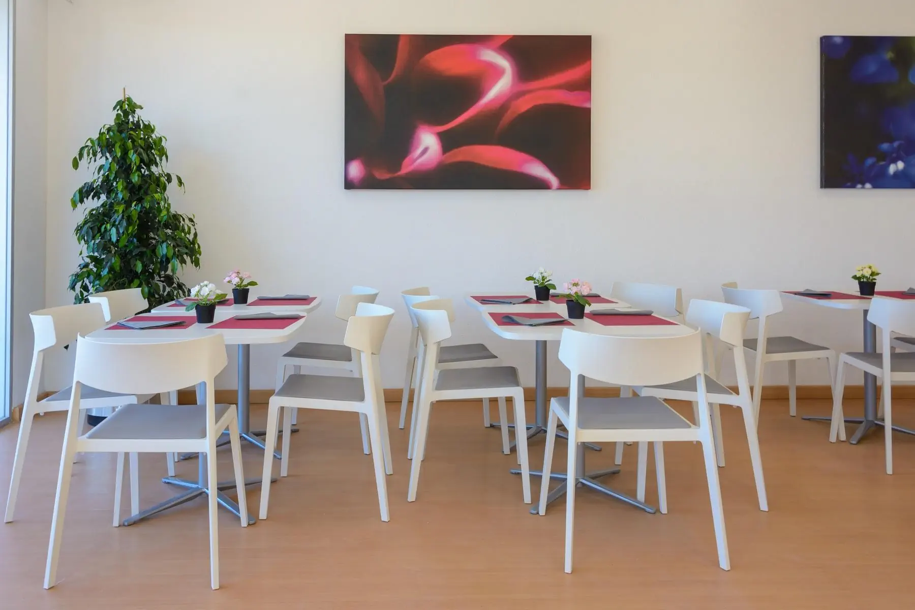 HOTEL Albatros Family