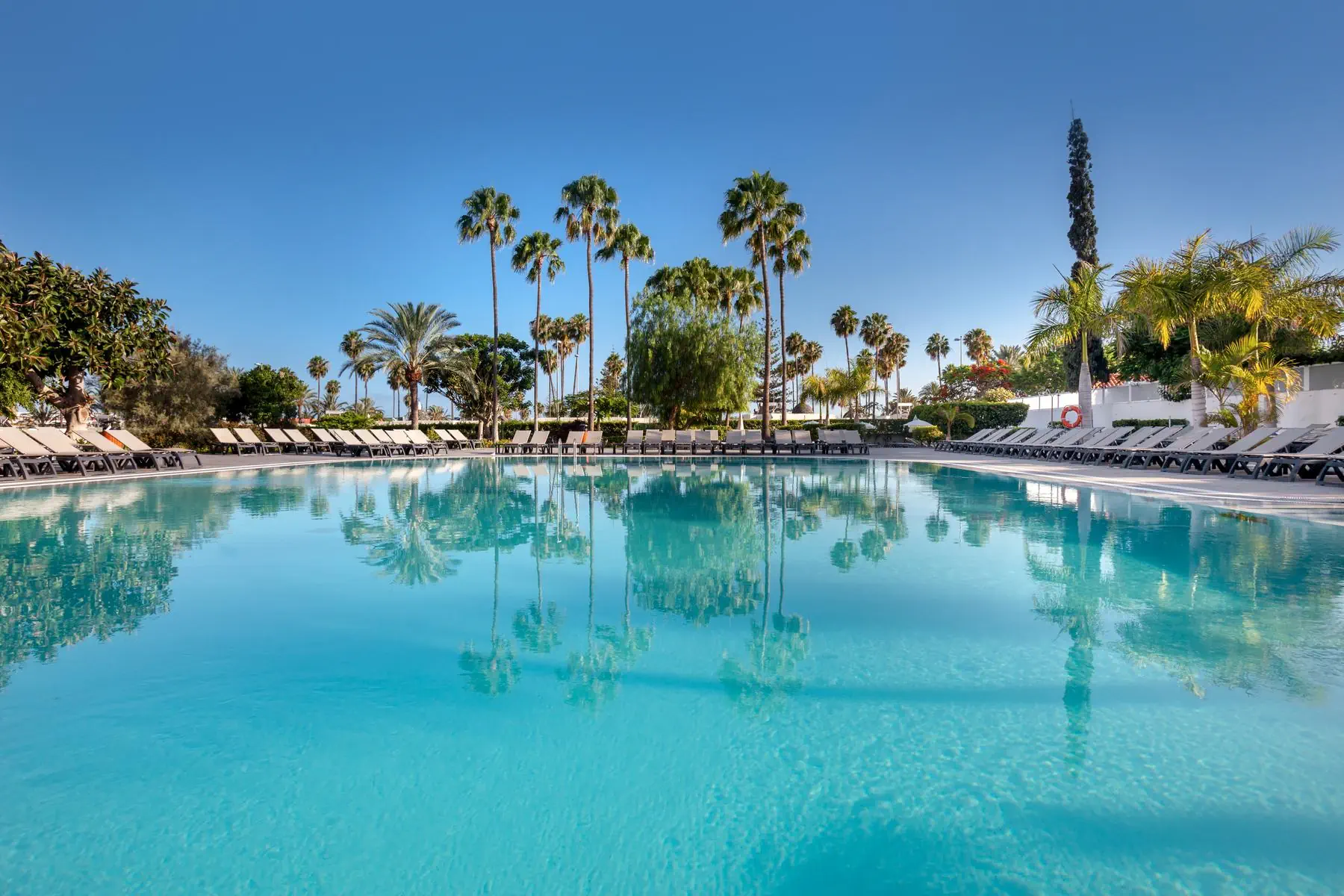 Barcelo Margaritas Royal Level