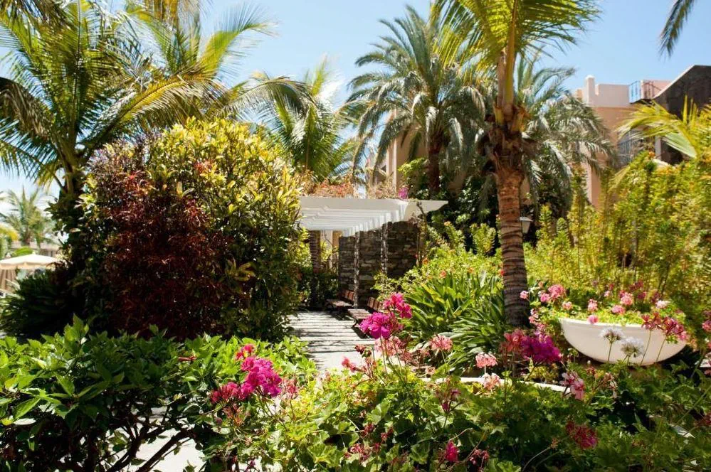 HOTEL Palm Oasis Maspalomas