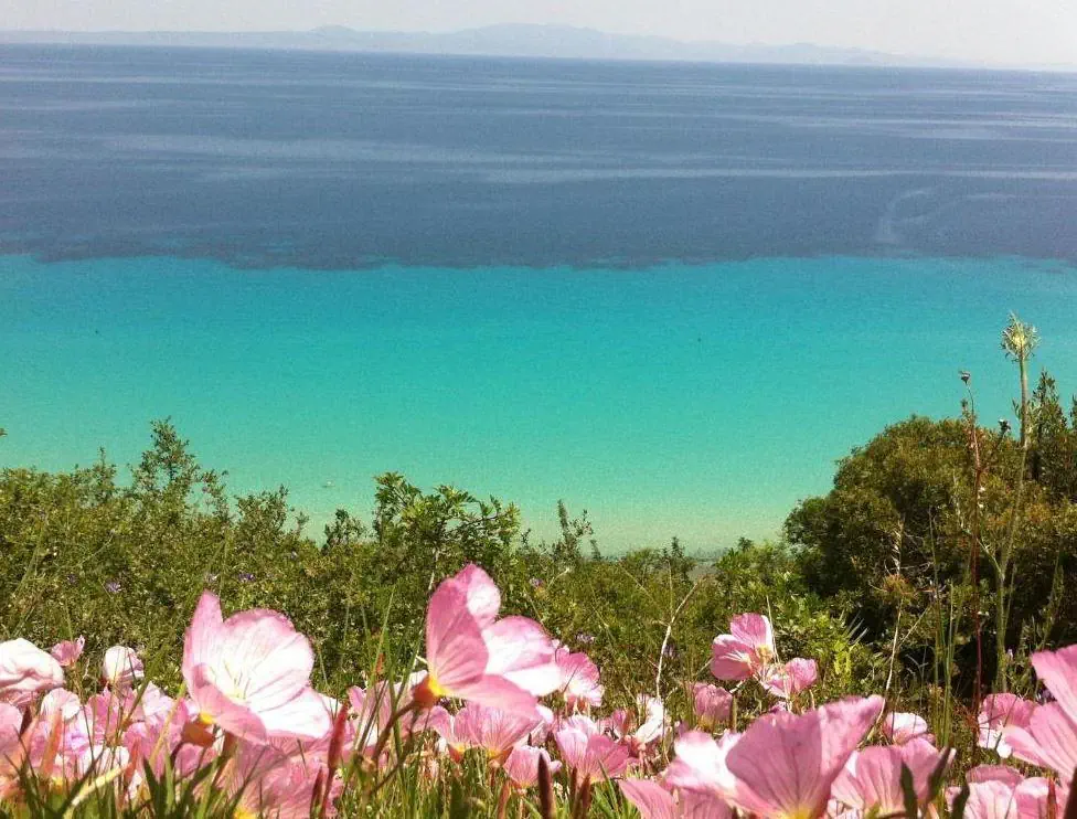 Aegean Blue Studios - zdjęcie 10