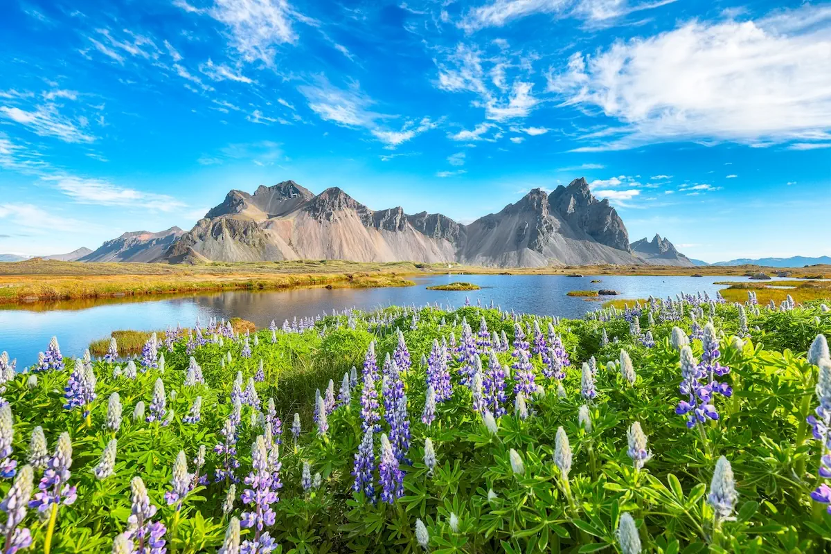 Islandia - potęga żywiołów - zdjęcie 7