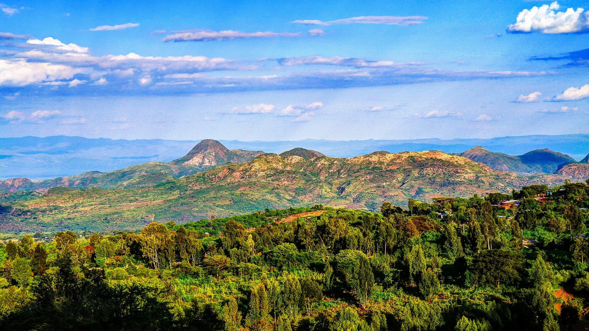 Klasyczna Etiopia - zdjęcie 20
