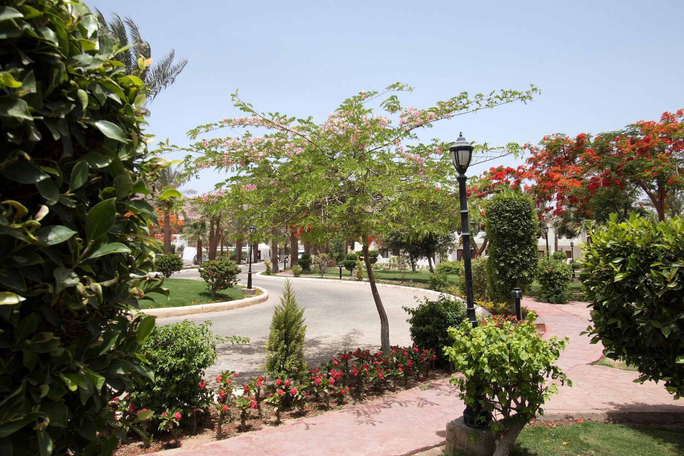 Swiss Inn Resort Dahab - zdjęcie 18