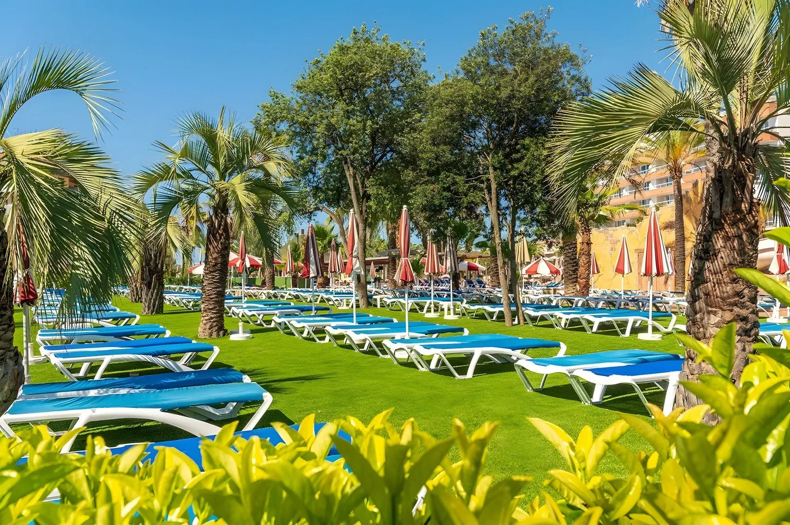 Marsol Aparthotel Costa Encantada (ex. Aparthotel Costa Encantada) - zdjęcie 6