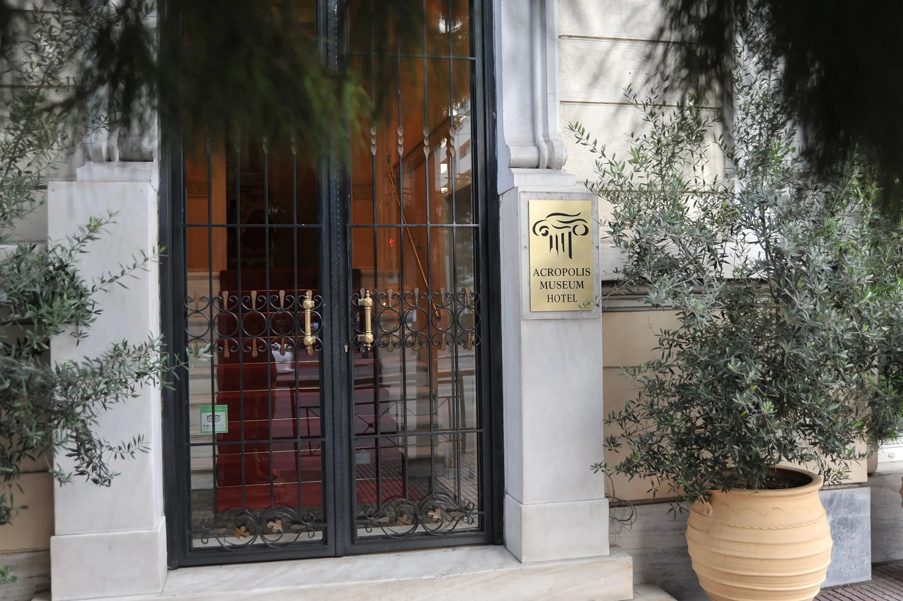 Acropolis Museum Boutique - zdjęcie 4