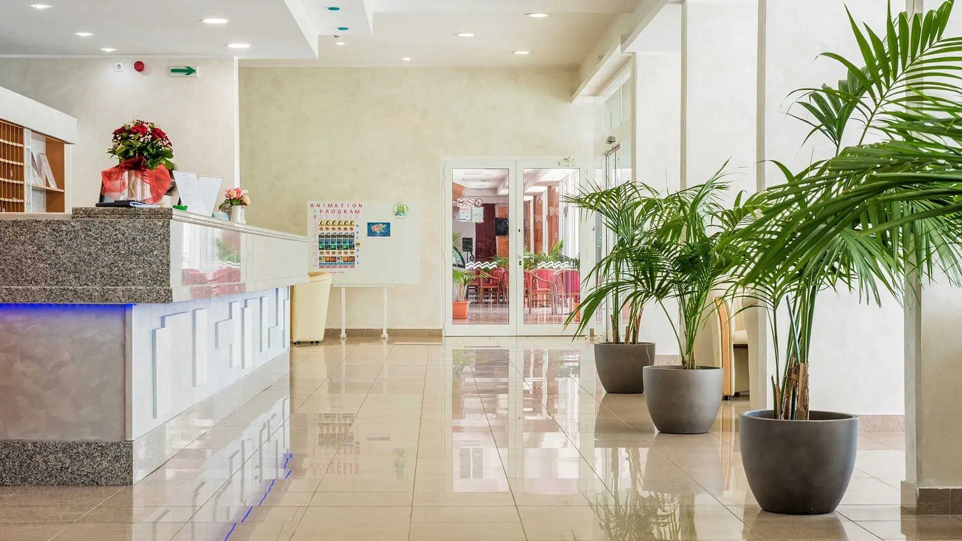 Hotel Hedera