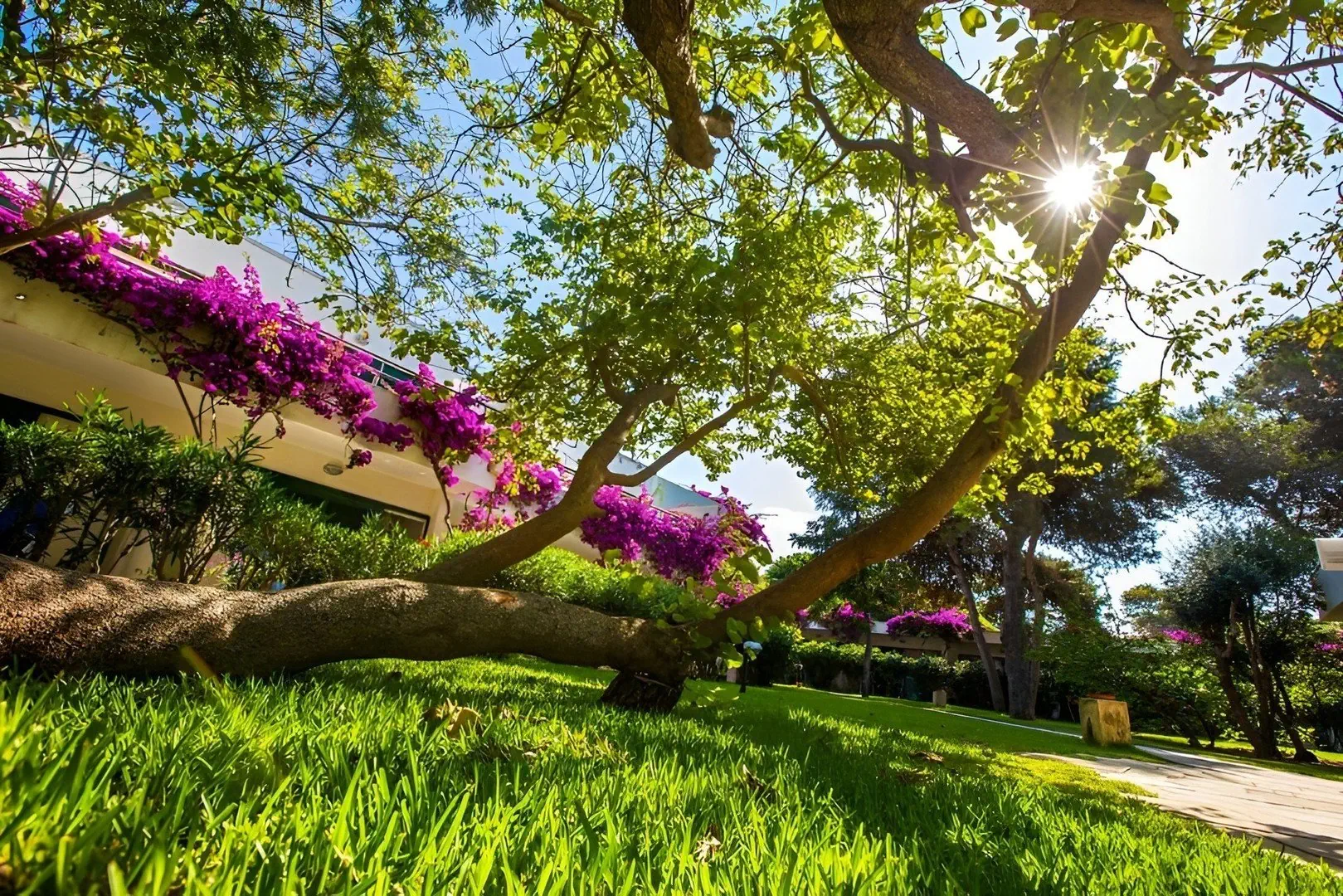 Robinson Club Apulia - zdjęcie 13