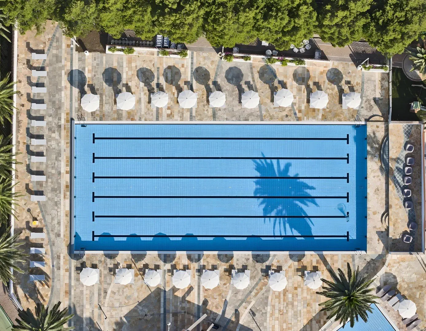 Gran Serena Hotel - zdjęcie 15