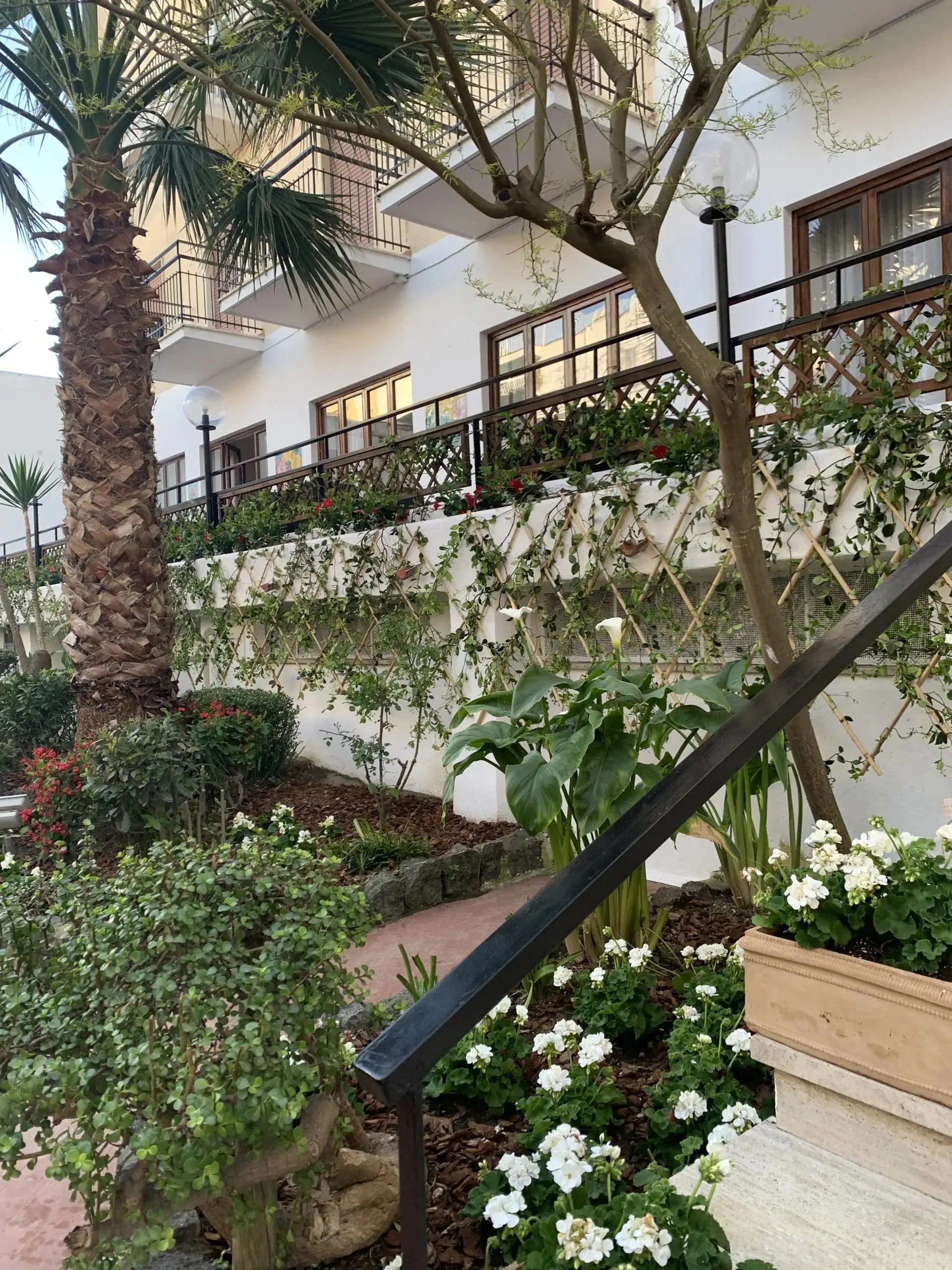 Conte (Ischia Porto) - zdjęcie 10