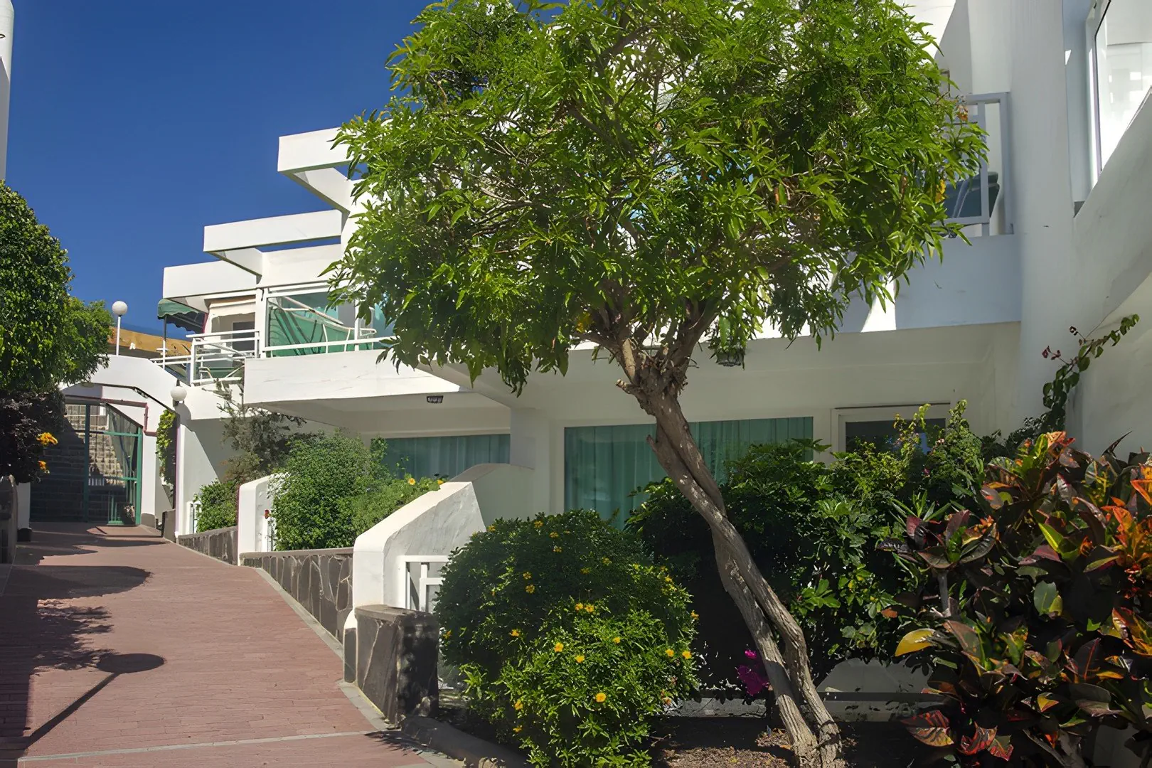 Acapulco Ocean View (Aguila Playa)