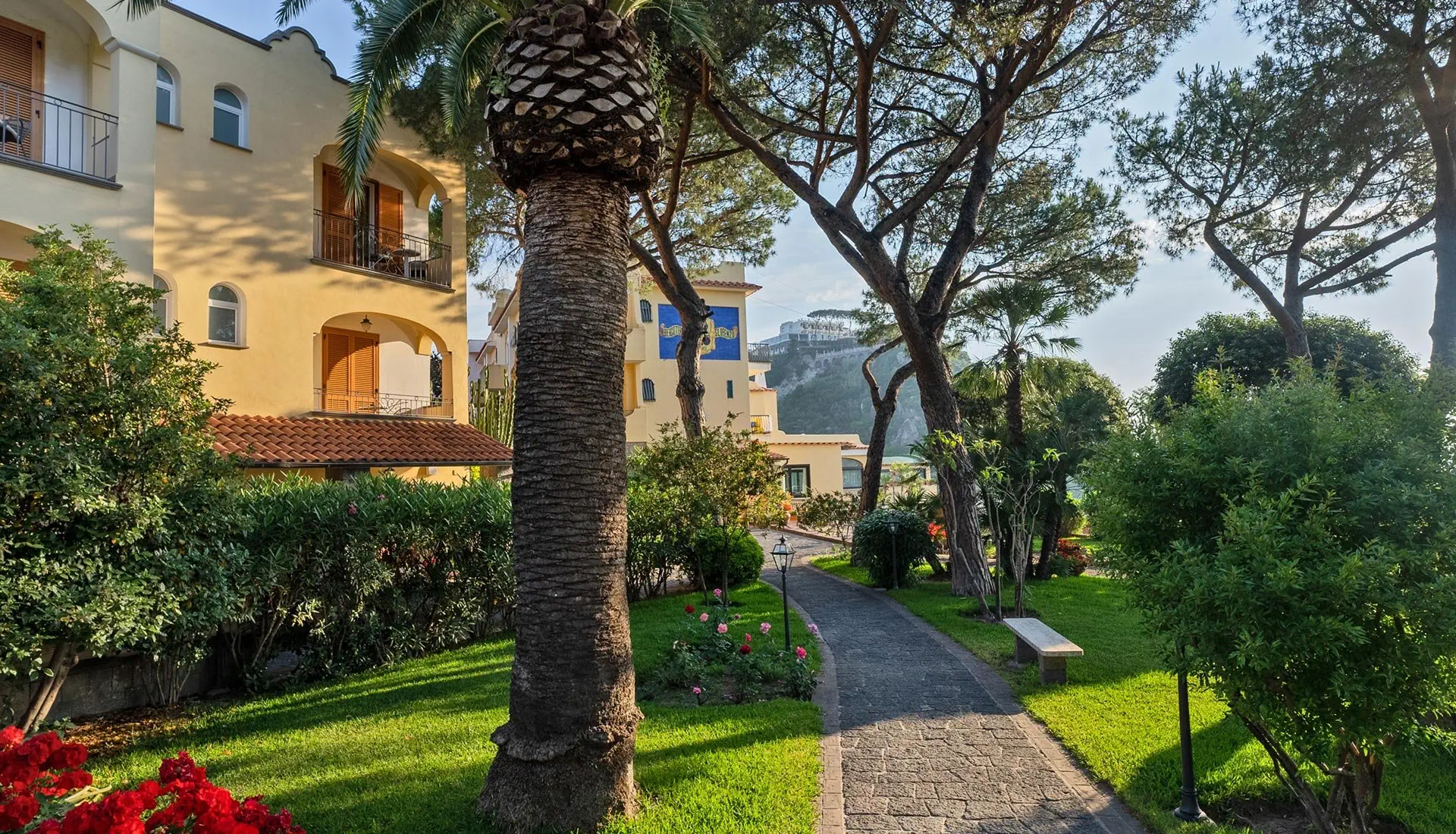 San Lorenzo (Forio Ischia) - zdjęcie 2