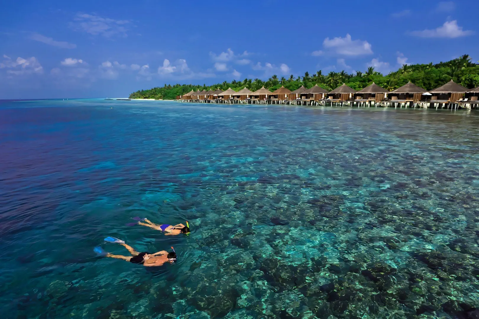 Kuramathi Island Resort: Village, Cottage and Blue Lagoon - zdjęcie 35