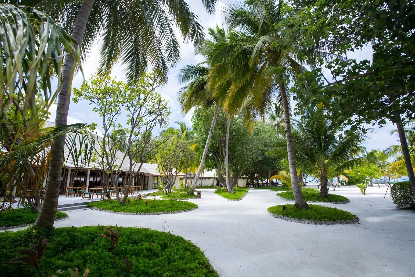 Meeru Island Resort - zdjęcie 27