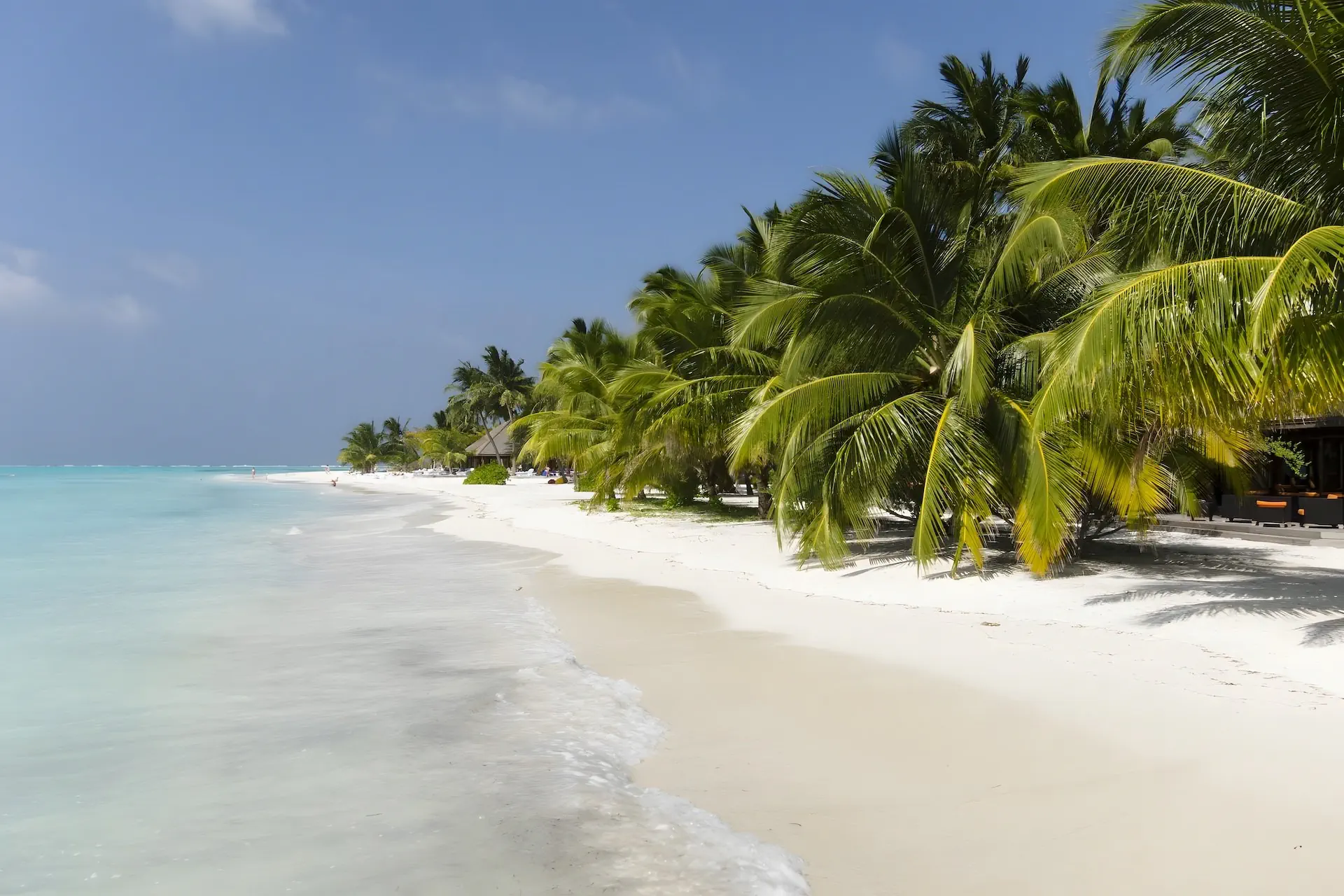 Meeru Island Resort - zdjęcie 23