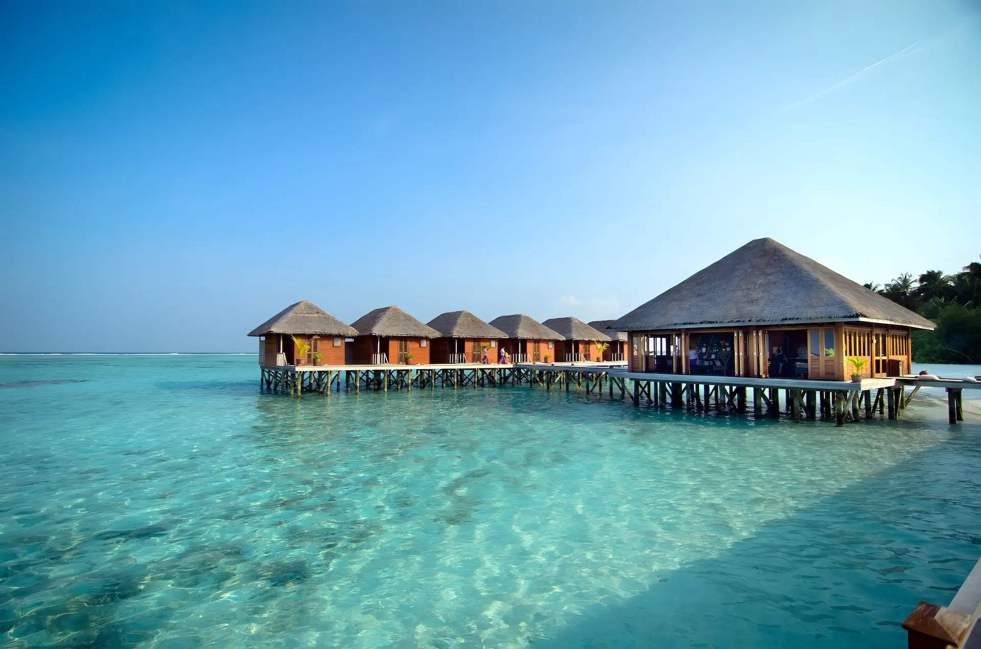 Meeru Island Resort - zdjęcie 3