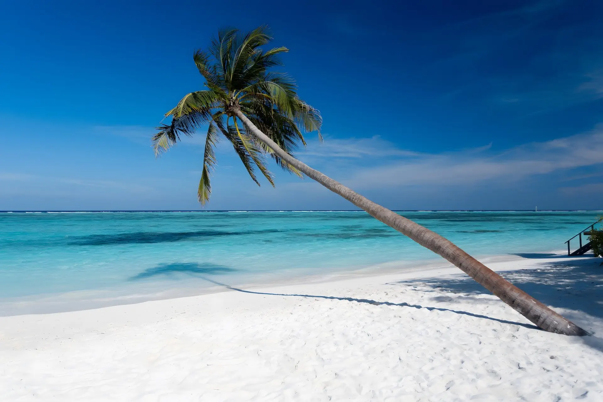 Meeru Island Resort - zdjęcie 4