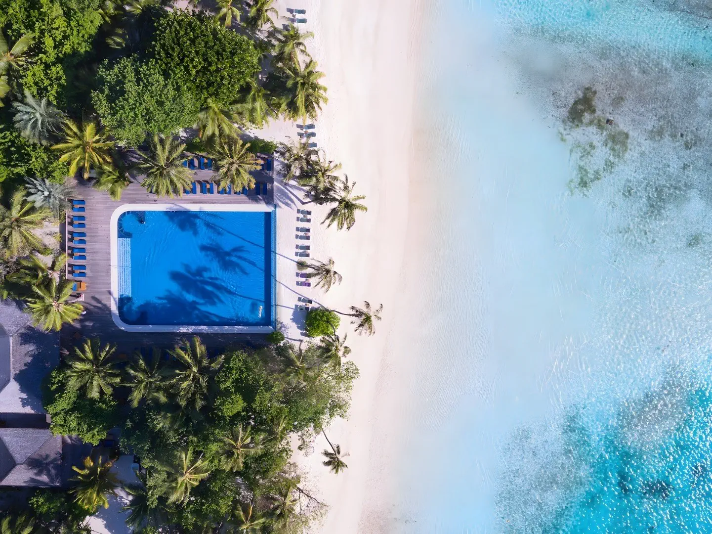 Meeru Island Resort - zdjęcie 30