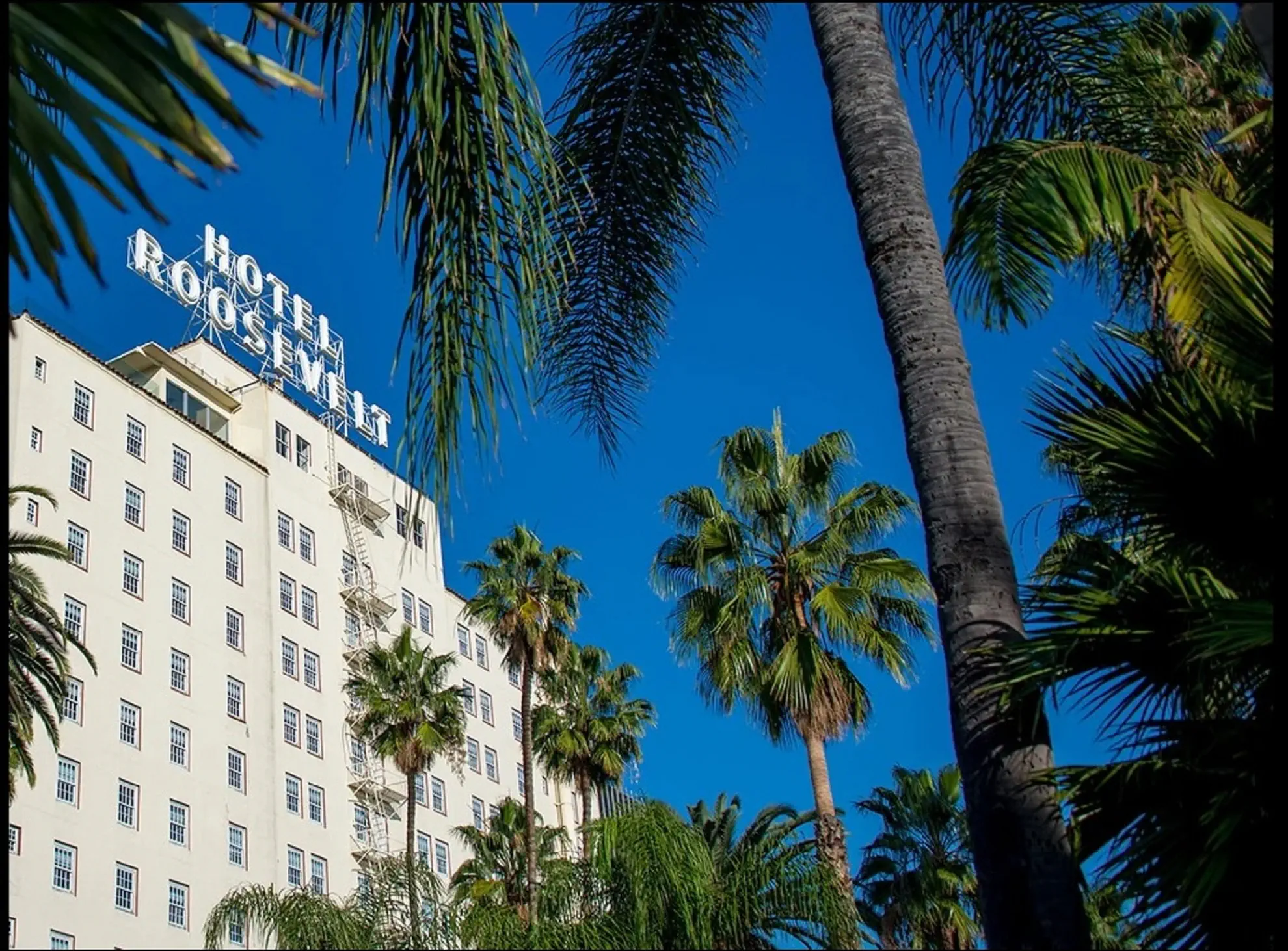 Hollywood Roosevelt - zdjęcie 2
