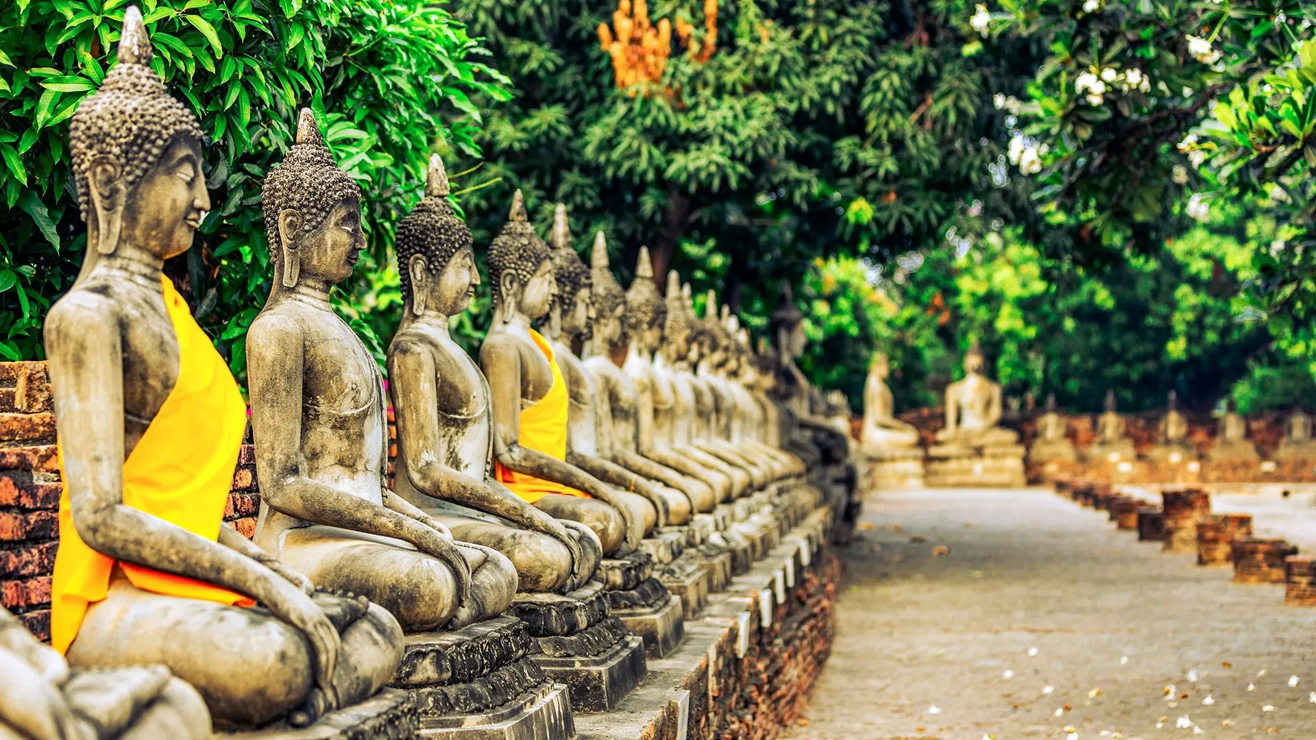 Złoty Budda i Rajskie Plaże - zdjęcie 8