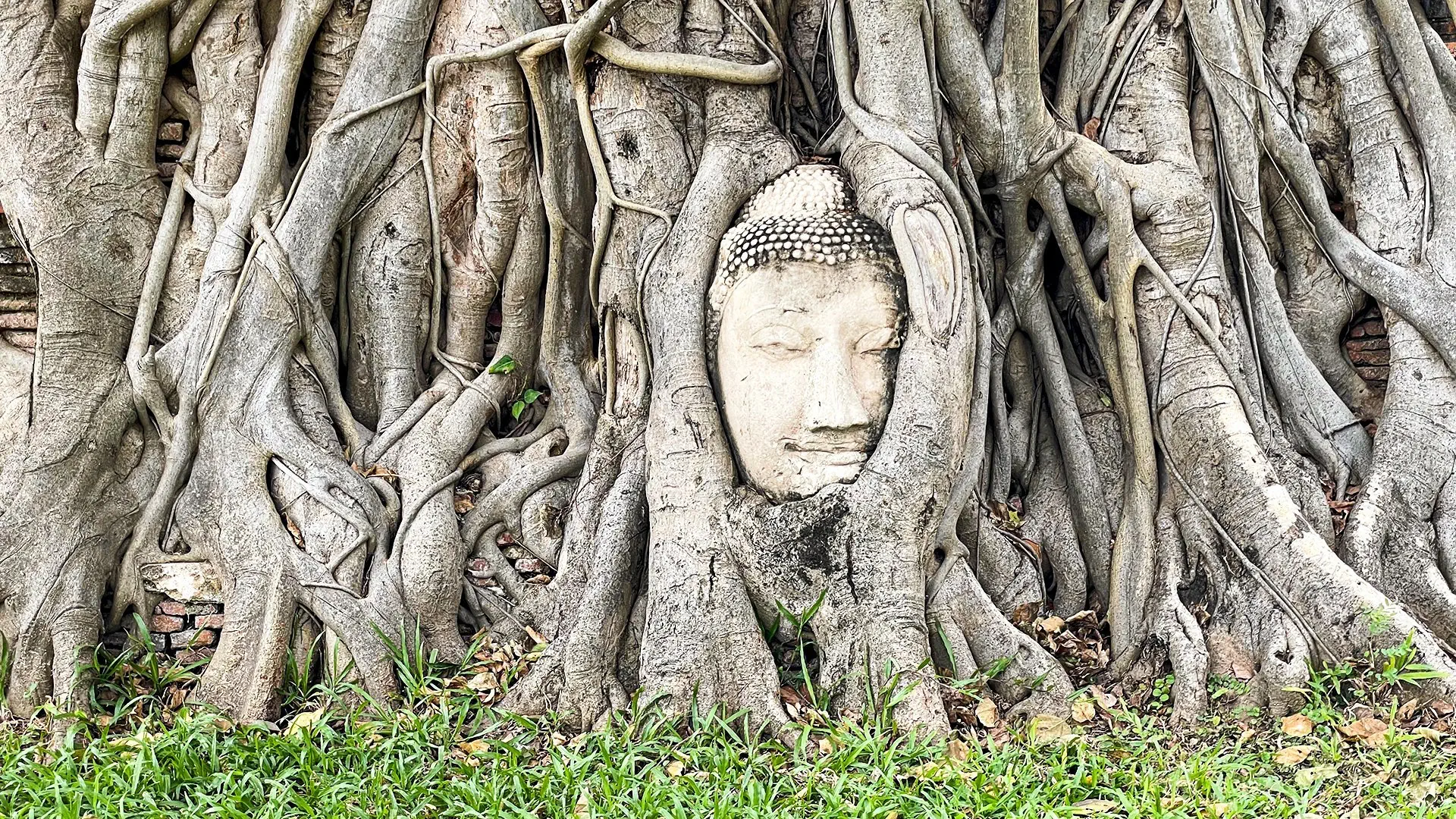 Złoty Budda i Rajskie Plaże - zdjęcie 6