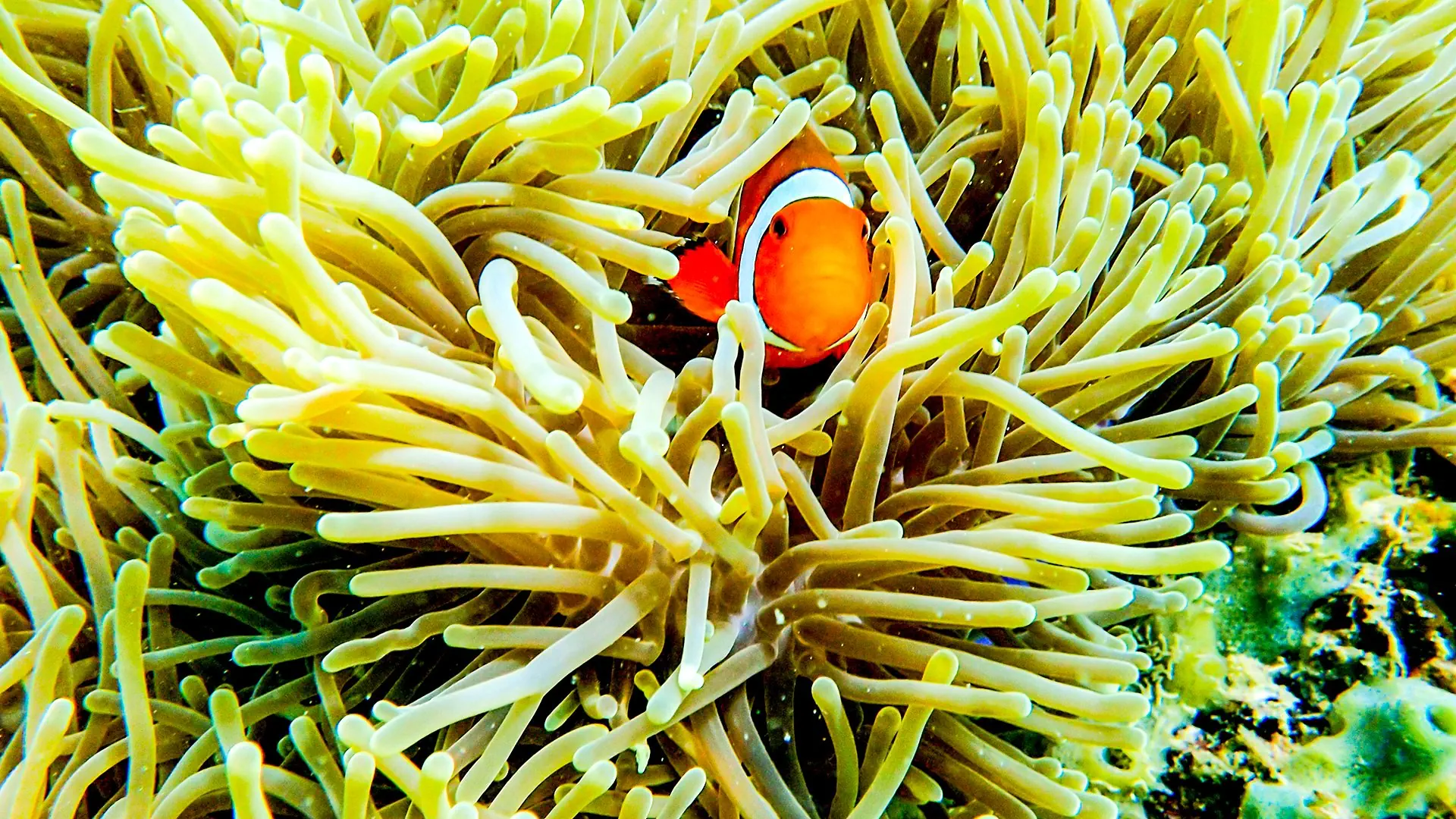 Wakacje Pod Palmami! Bangkok I Koh Lanta - zdjęcie 18