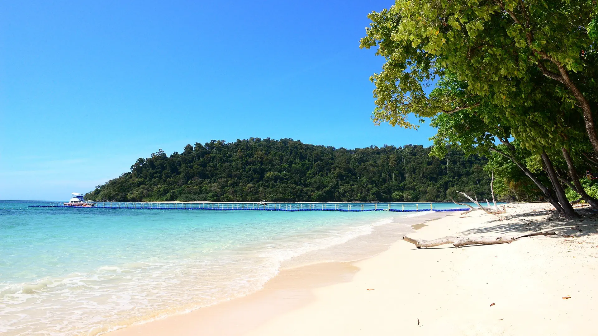 Wakacje Pod Palmami! Bangkok I Koh Lanta - zdjęcie 20