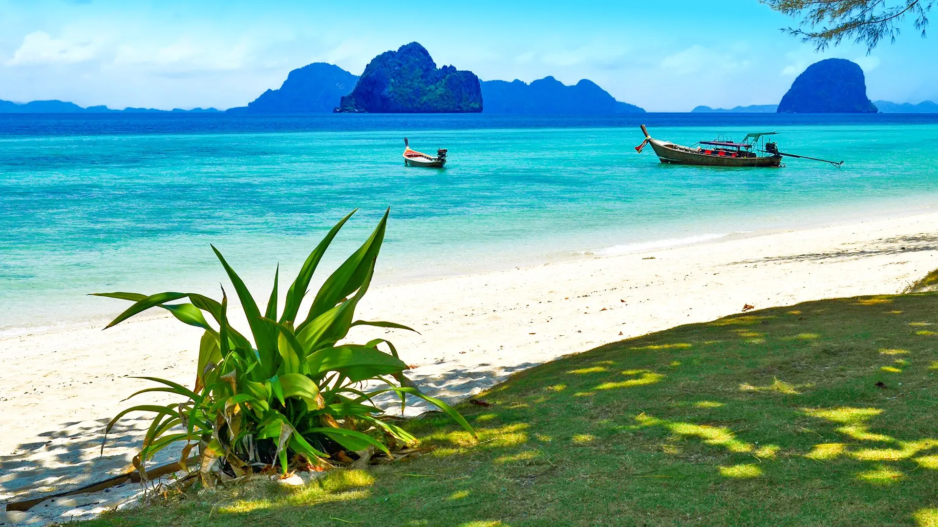 Wakacje Pod Palmami! Bangkok I Koh Lanta - zdjęcie 5