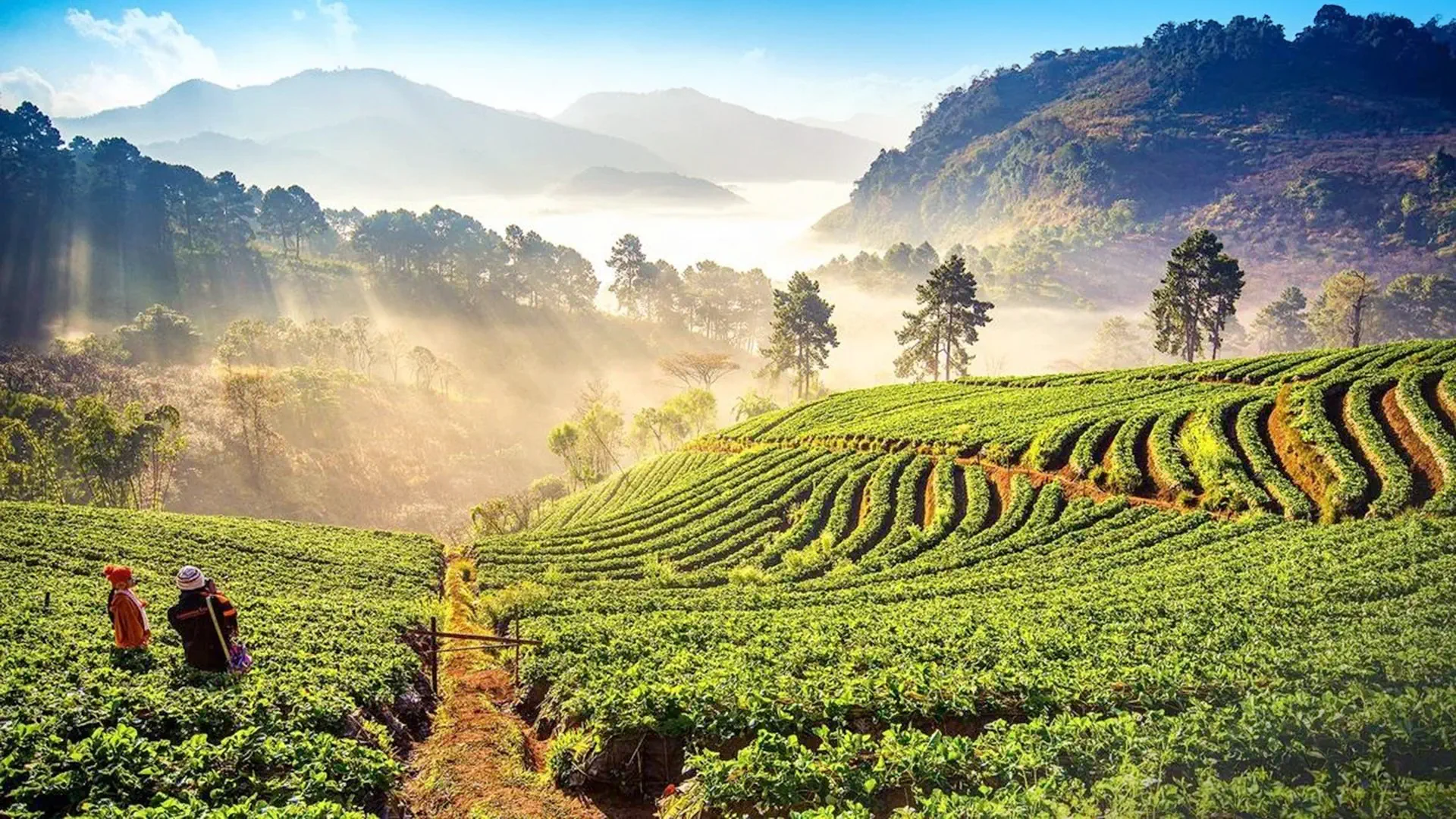 Aktywna Pętla Północy: Chiang Mai, Karenowie I Złote Góry Mae Hong Son - zdjęcie 4