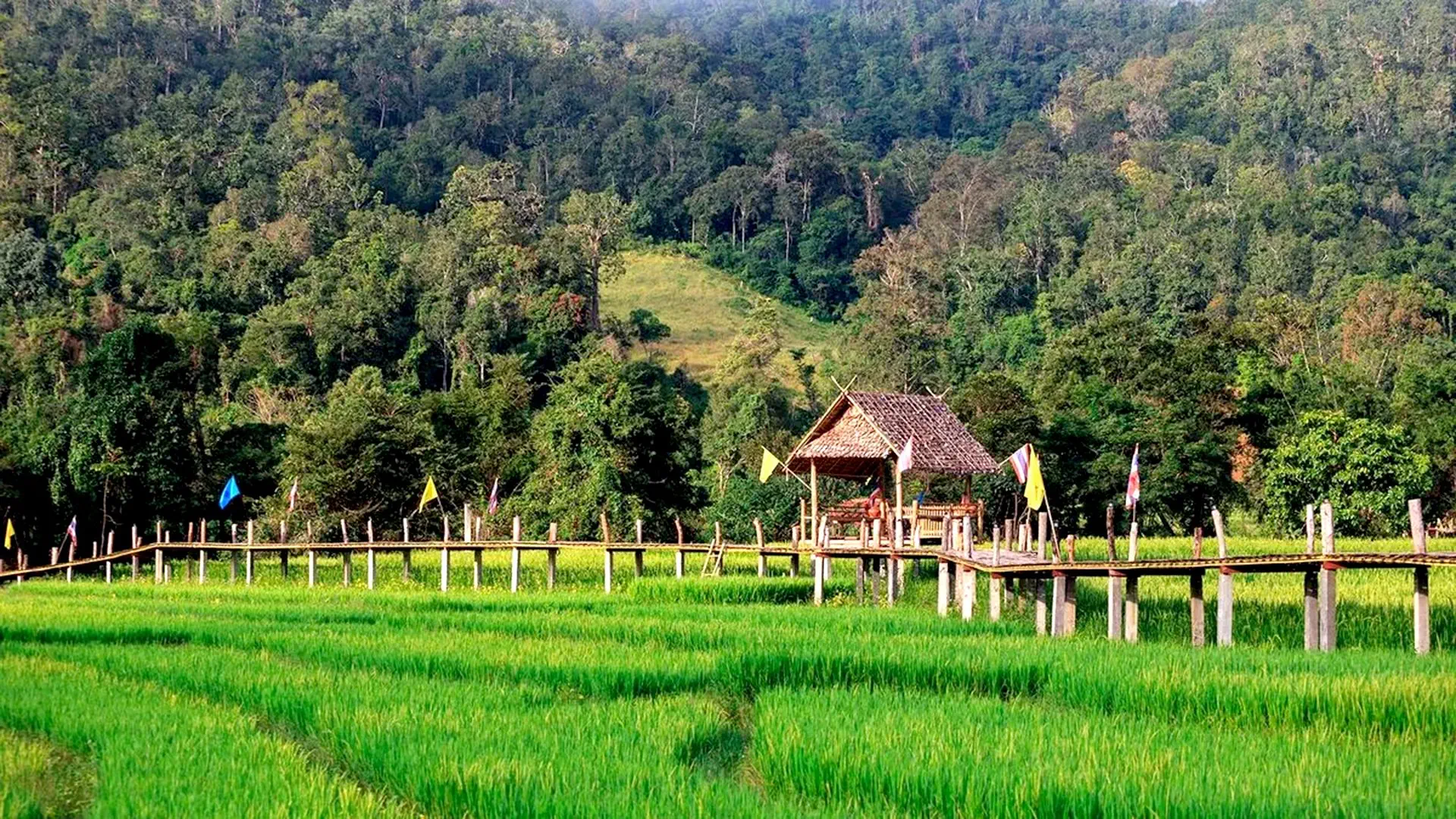 Aktywna Pętla Północy: Chiang Mai, Karenowie I Złote Góry Mae Hong Son - zdjęcie 11