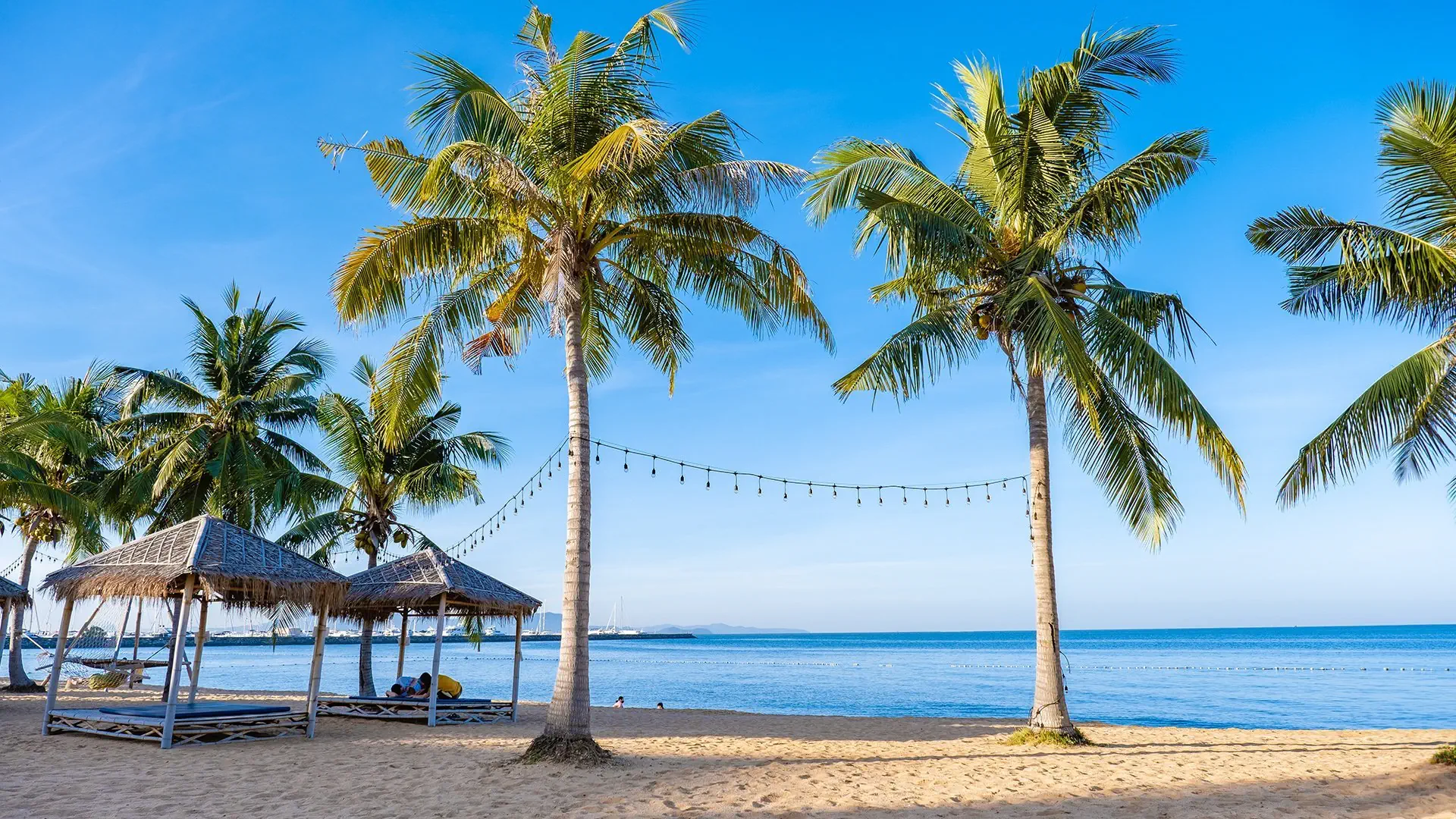 Pattaya i Tropikalny Raj - zdjęcie 8