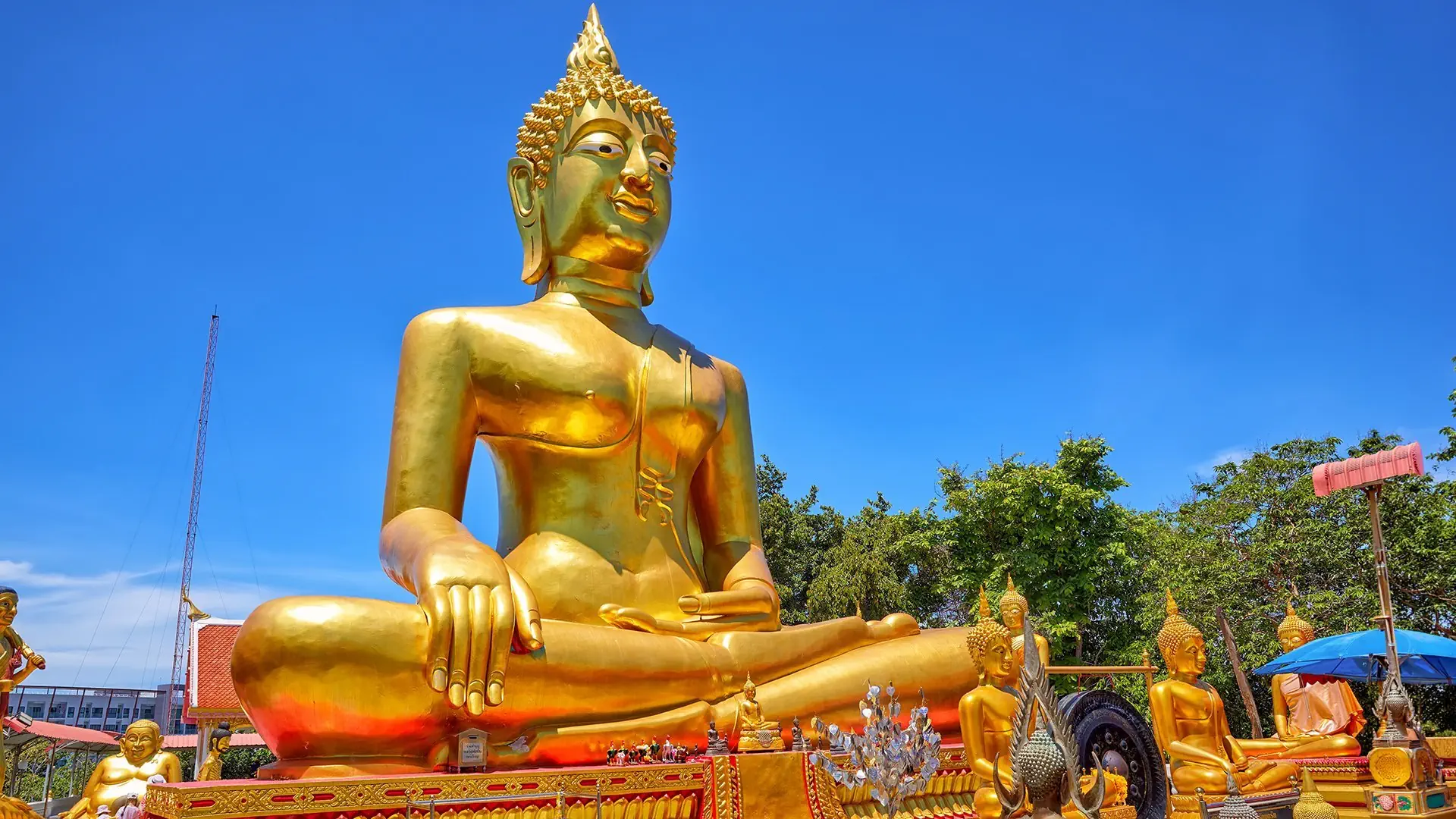Pattaya i Tropikalny Raj - zdjęcie 9