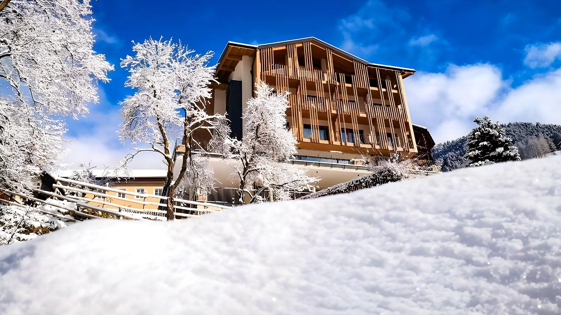 Alpinhotel Vajolet - zdjęcie 2