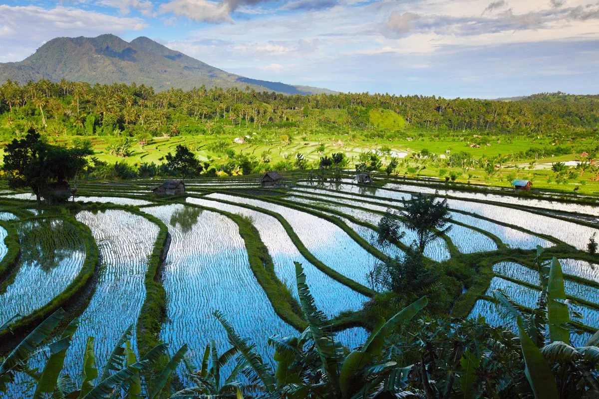 Śnij na Jawie, tańcz na Bali - zdjęcie 3