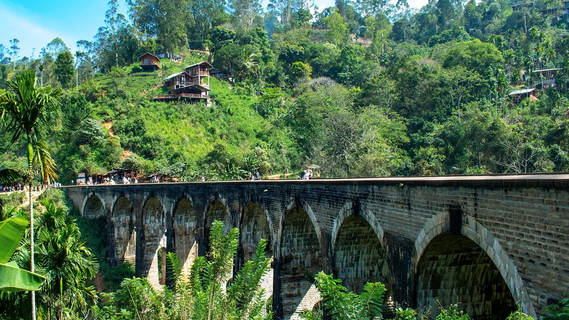 Kameralna Podróż - Sri Lanka - zdjęcie 14