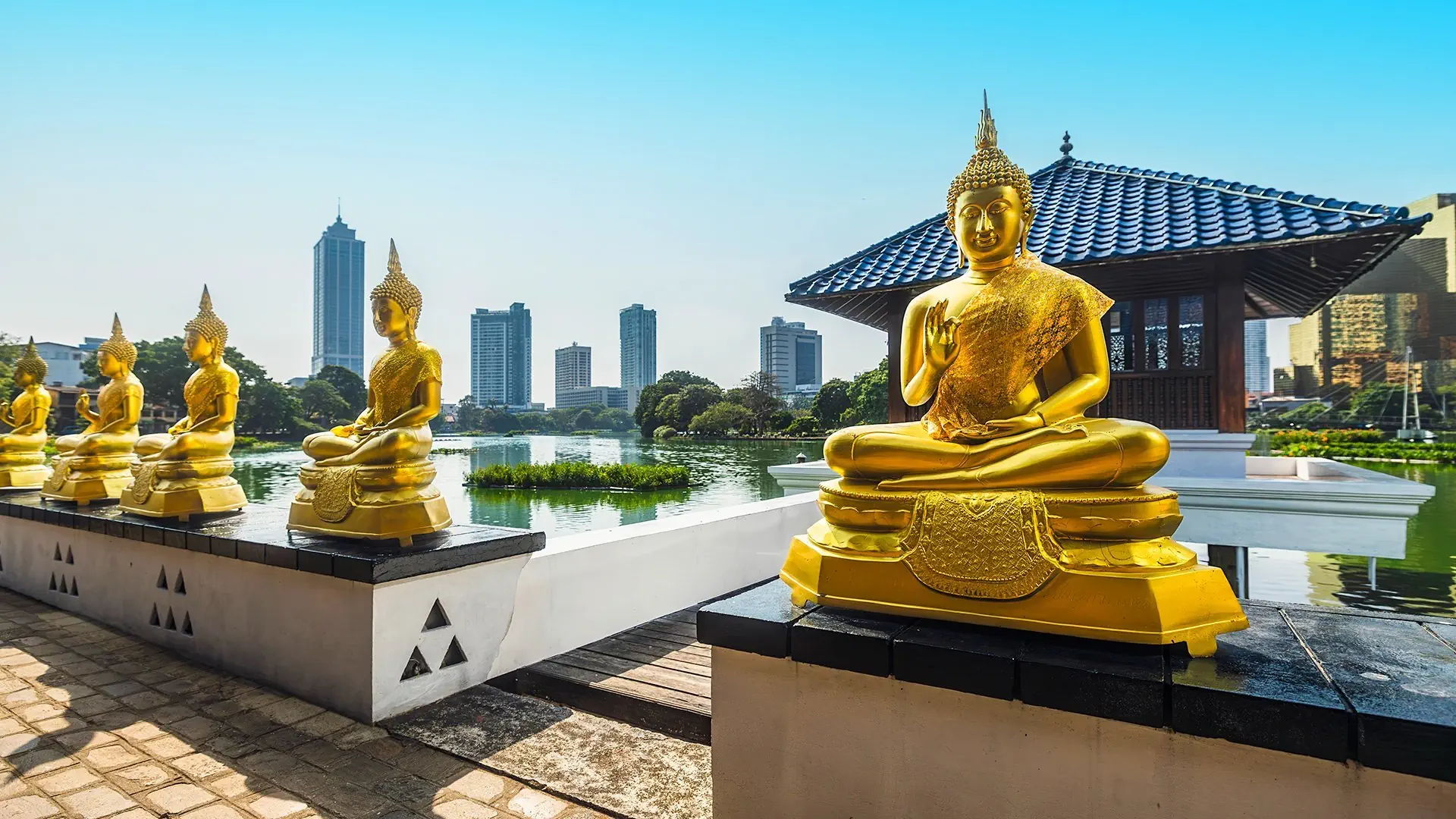 Kameralna Podróż - Sri Lanka - zdjęcie 11