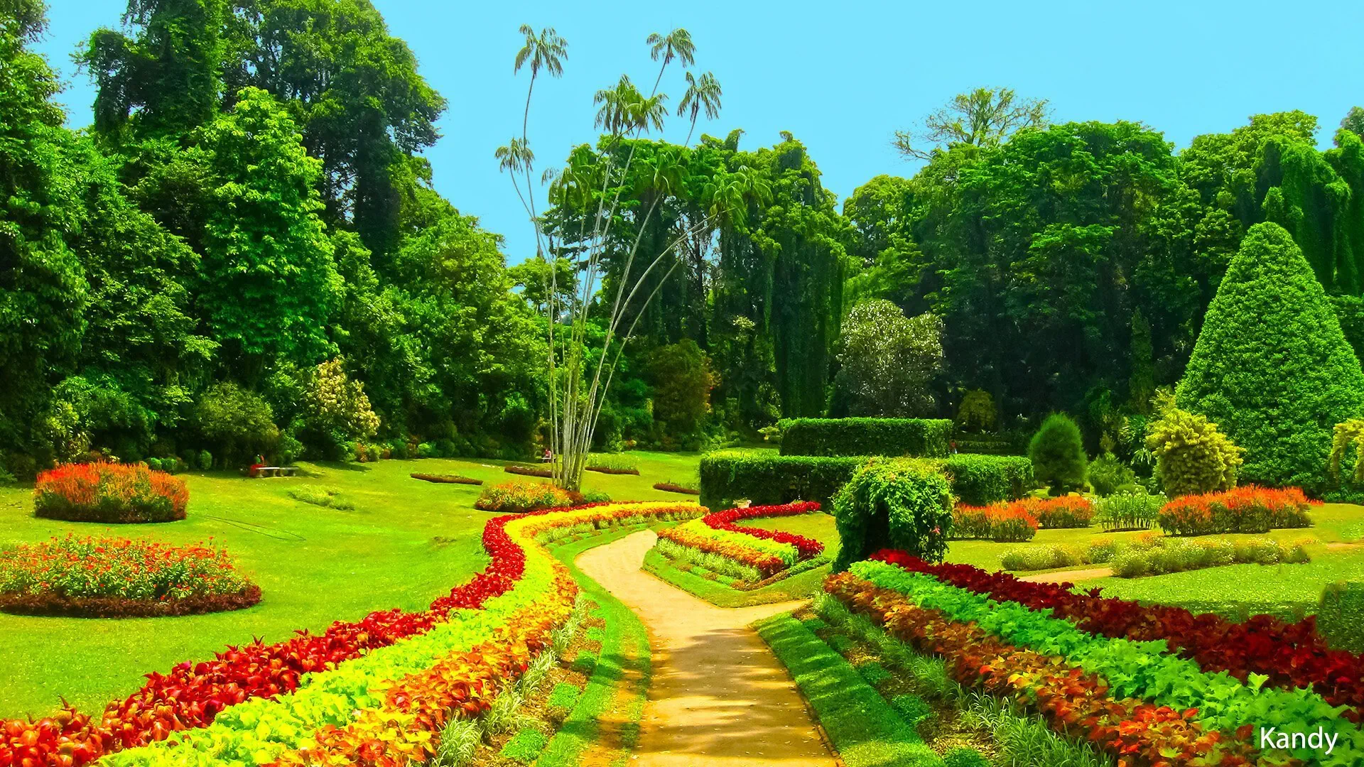 Herbaciana Sri Lanka - zdjęcie 6