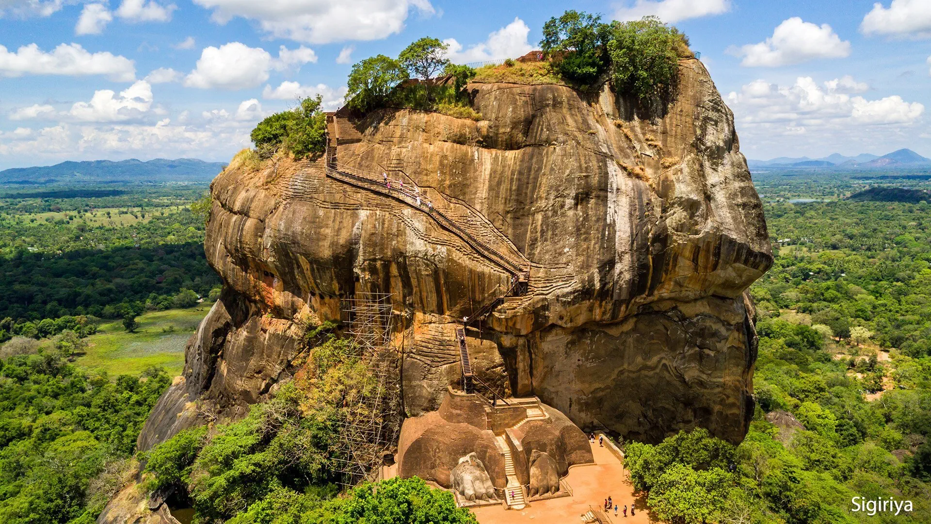 Herbaciana Sri Lanka - zdjęcie 4