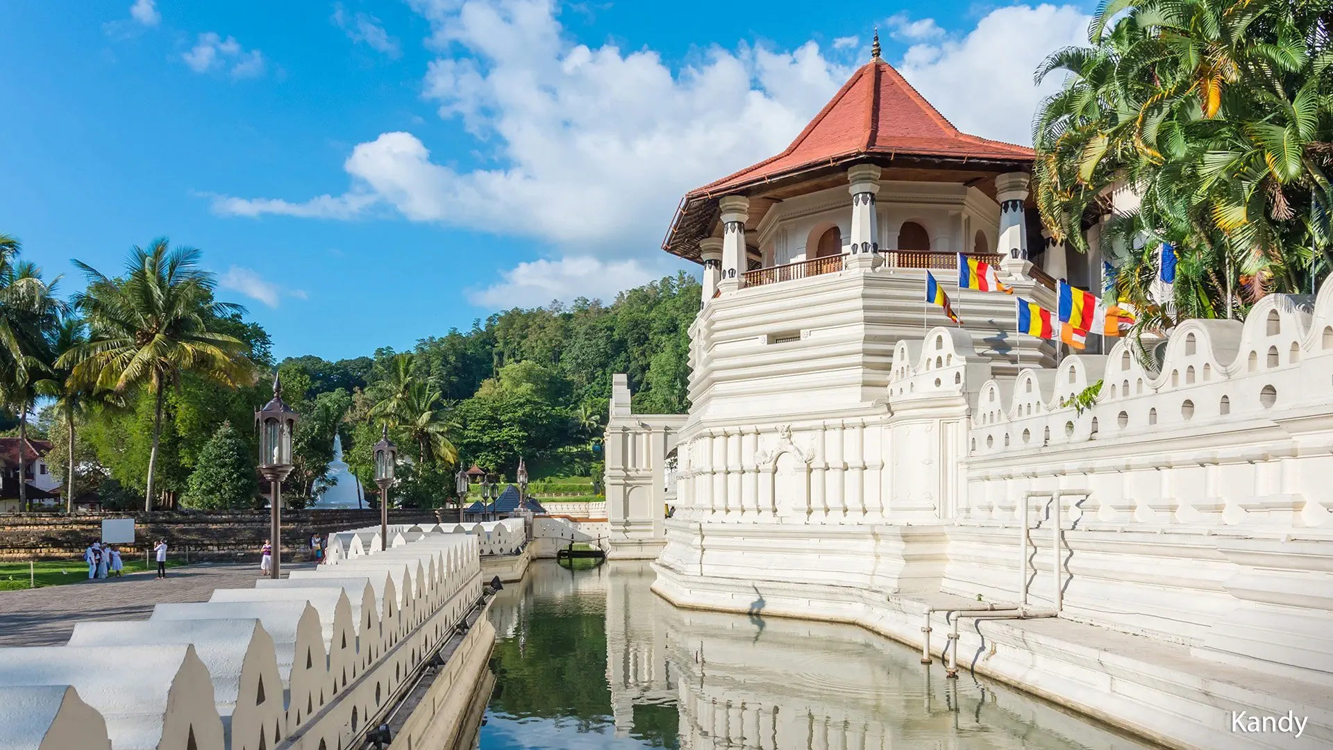 Herbaciana Sri Lanka - zdjęcie 10