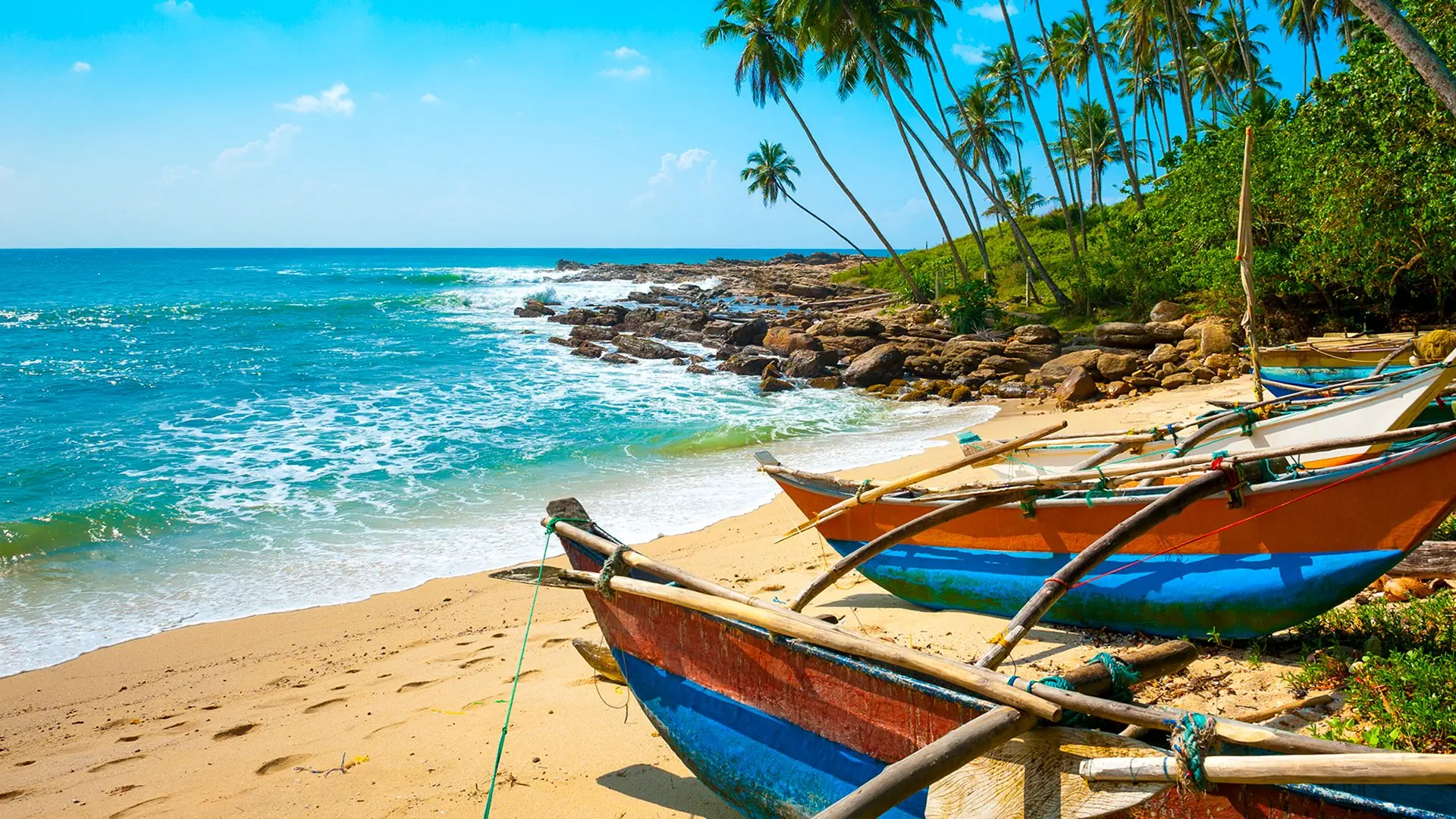Wakacje Pod Palmami! Cejlon + Hotel Earl’S Regent Negombo - zdjęcie 3