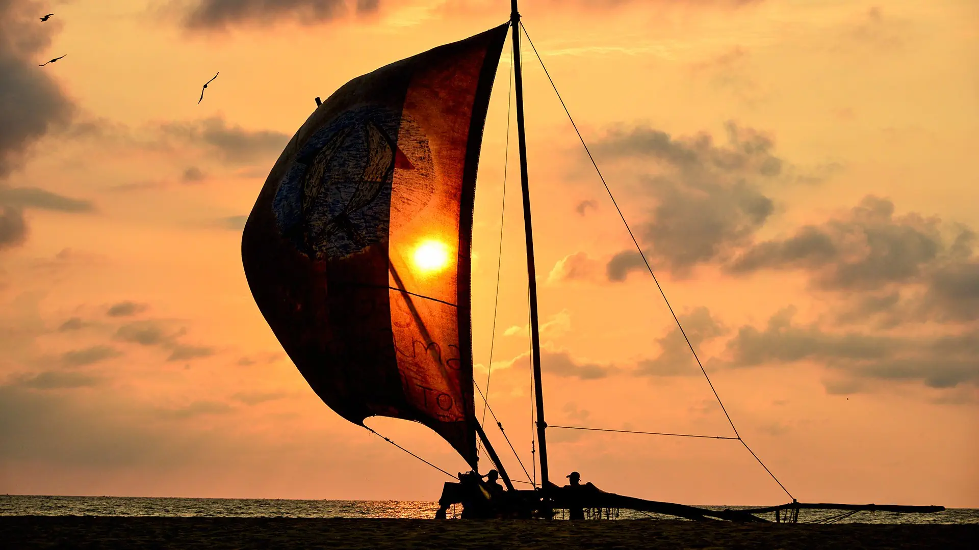 Wakacje Pod Palmami! Cejlon + Hotel Earl’S Regent Negombo - zdjęcie 15