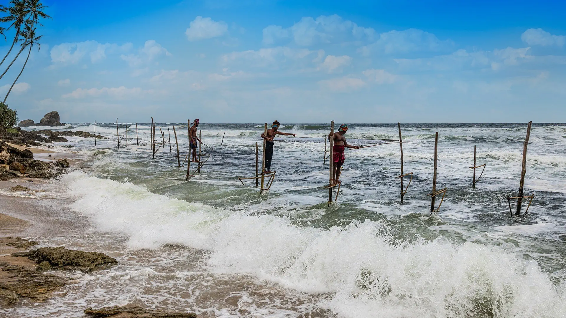 Lankijskie Safari - zdjęcie 33