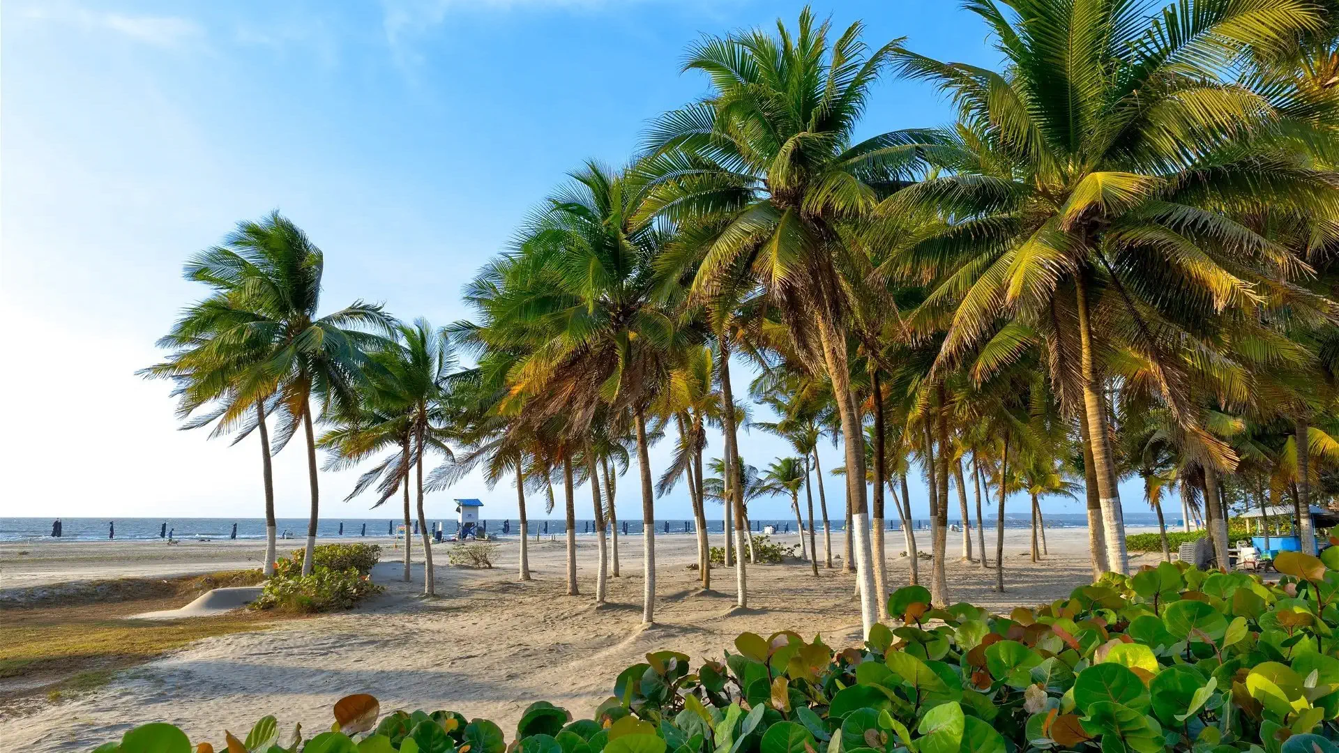 Las Americas - Casa de Playa - zdjęcie 11