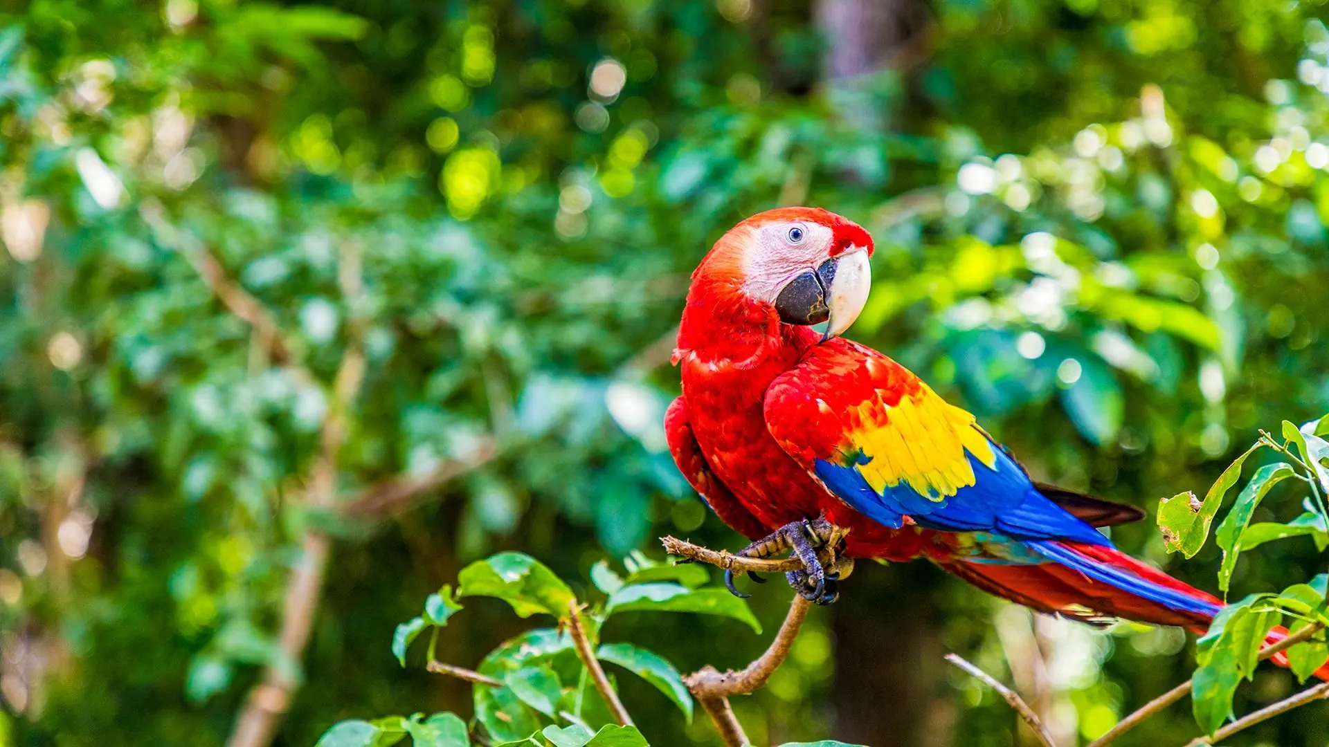 Cuatro Amigos! Meksyk, Gwatemala, Honduras i Belize - zdjęcie 8