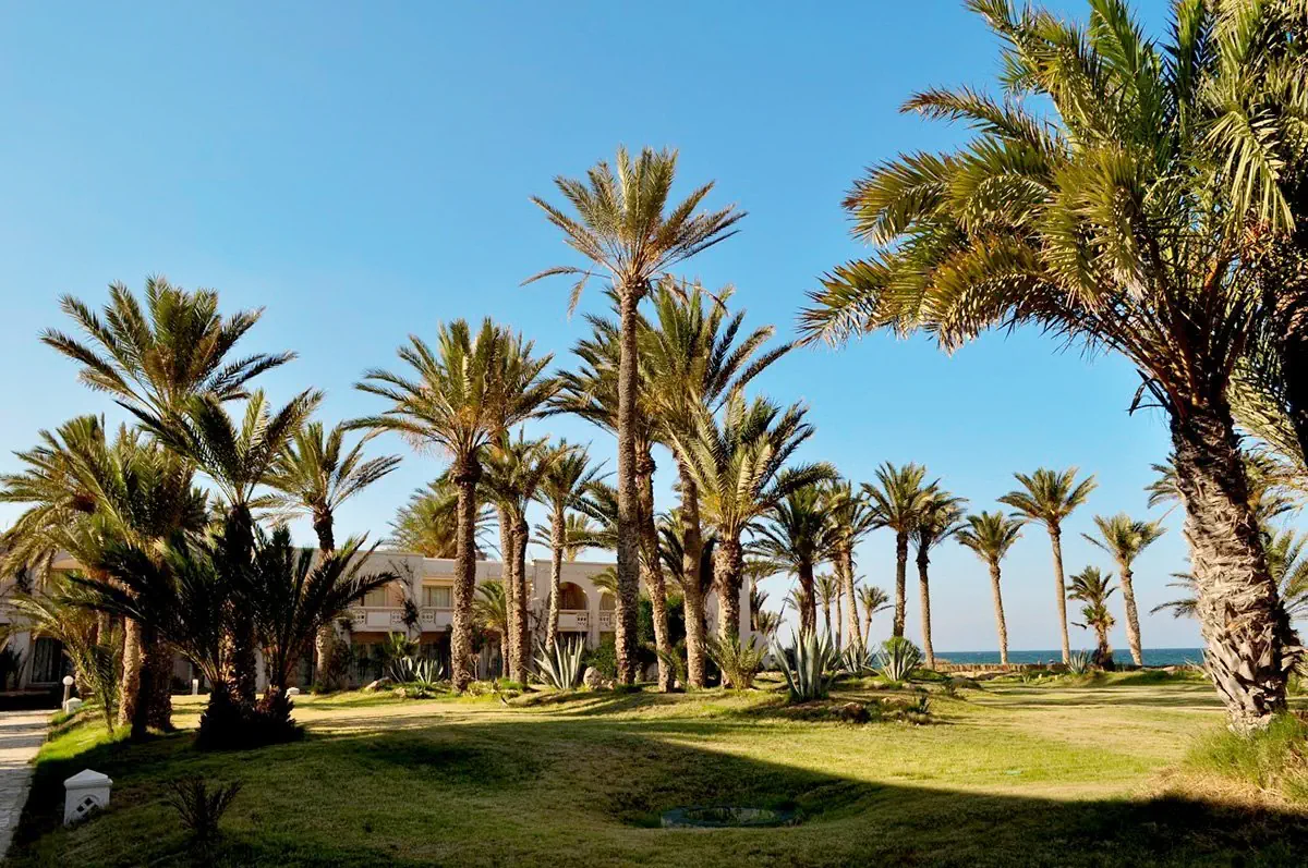 Zita Beach Resort Zarzis - zdjęcie 33