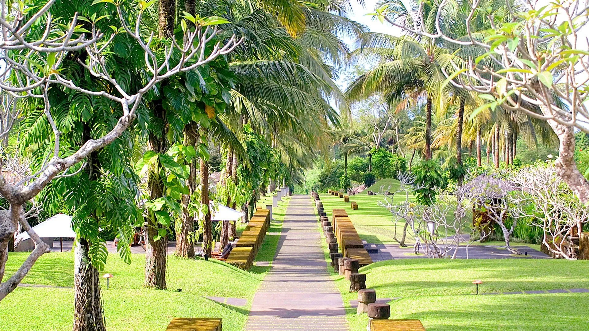 Maya Ubud Resort - zdjęcie 20