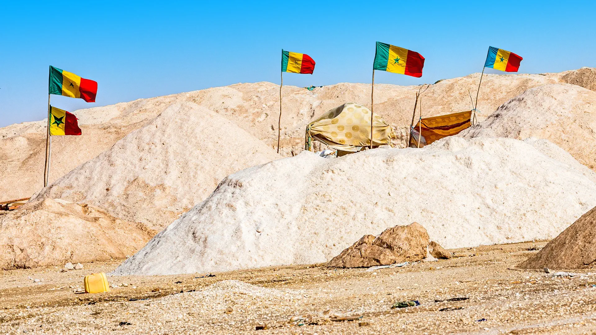 Barwy Senegalu - Od Oceanu Po Sawannę - zdjęcie 20